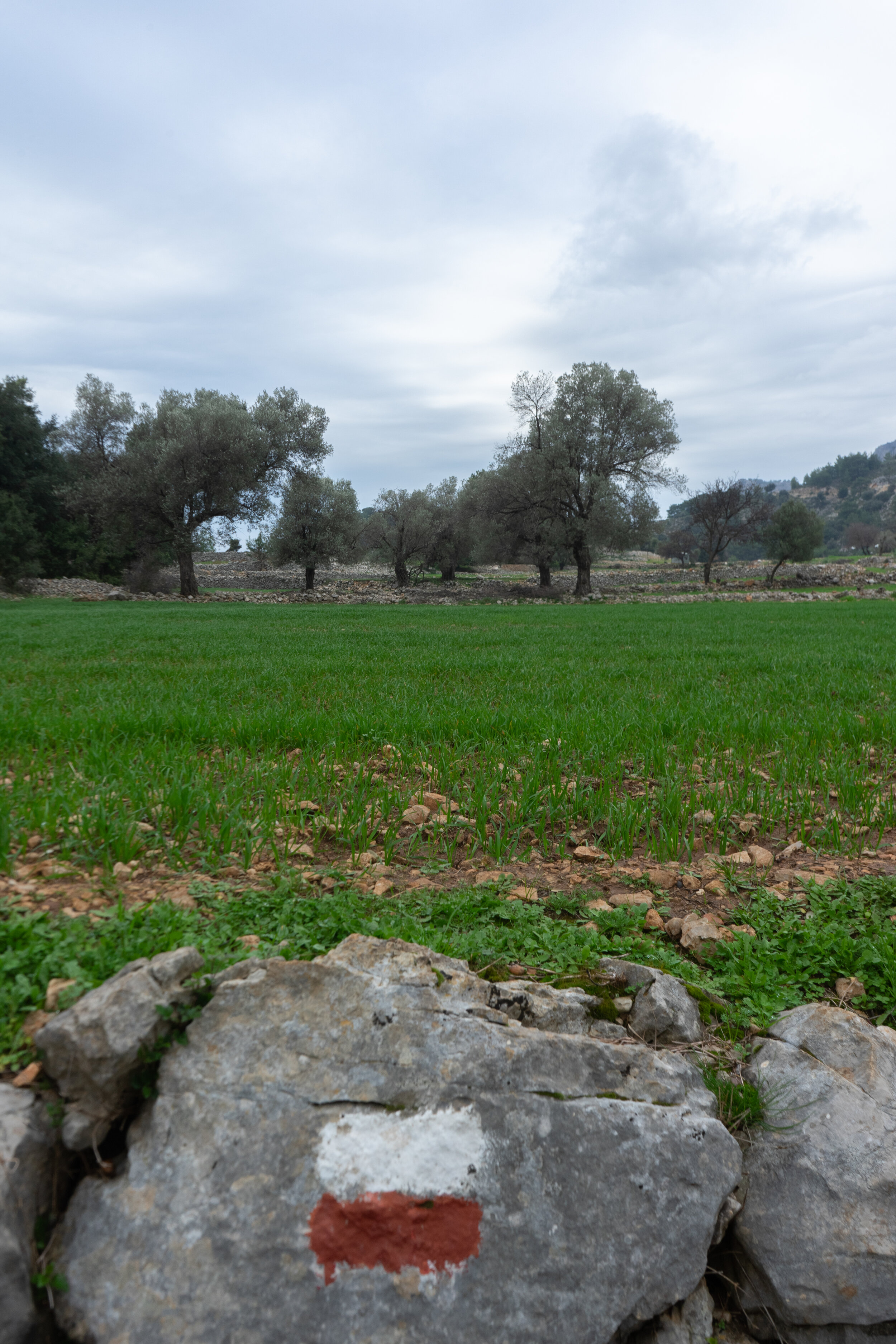 Lycian Way waymark