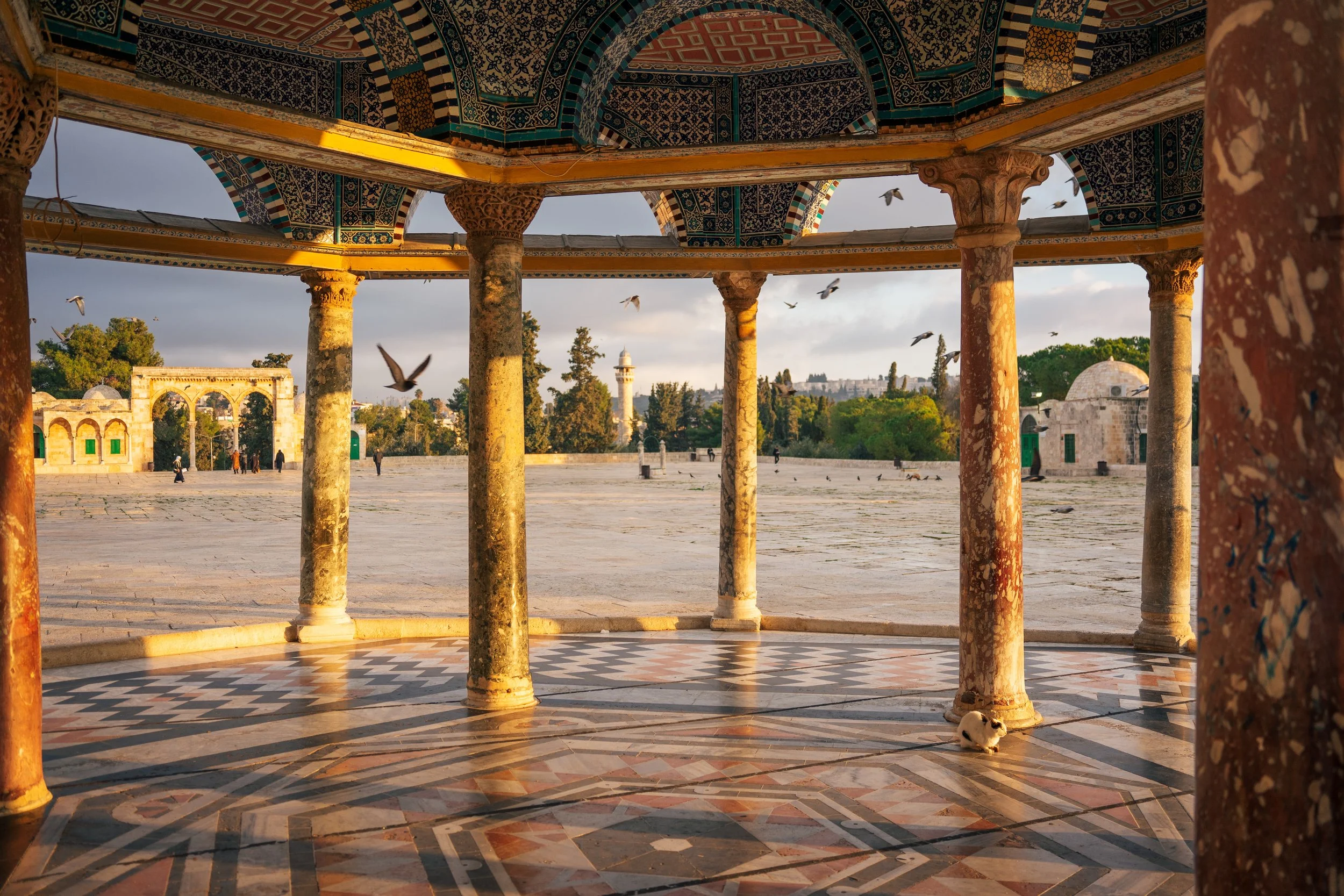  Taken in Jerusalem, Palestine 