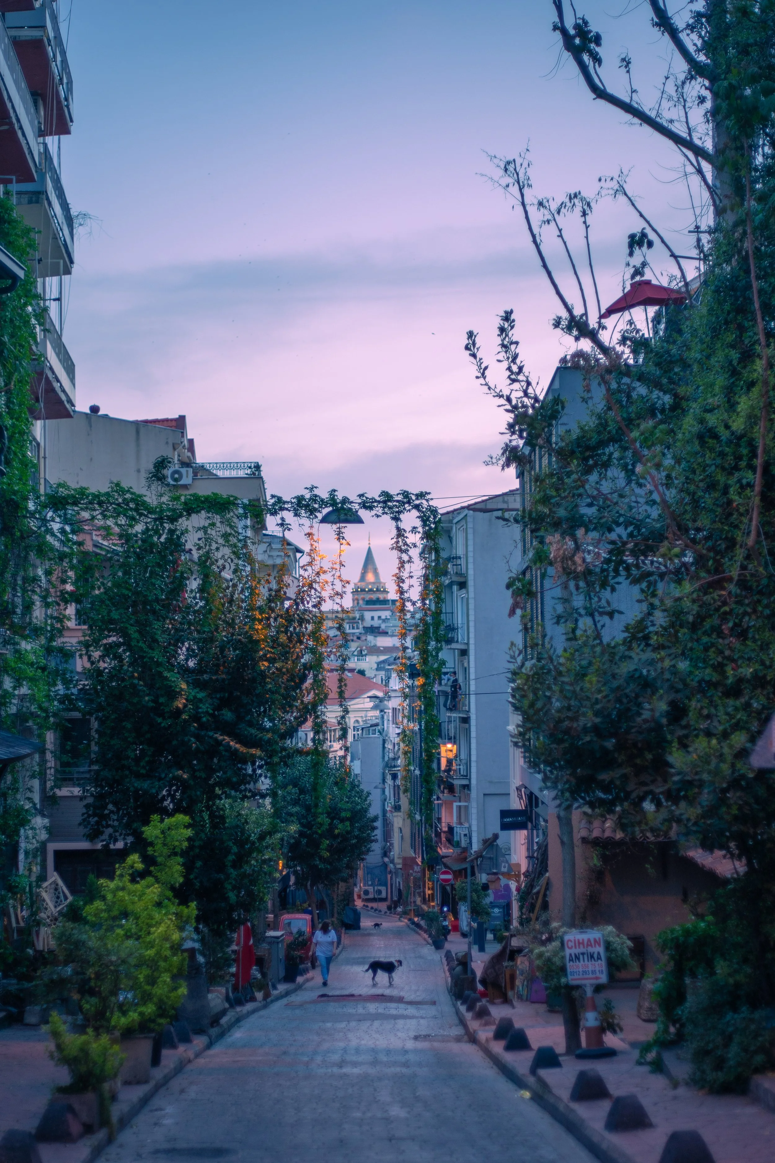  Taken in Istanbul, Turkey 