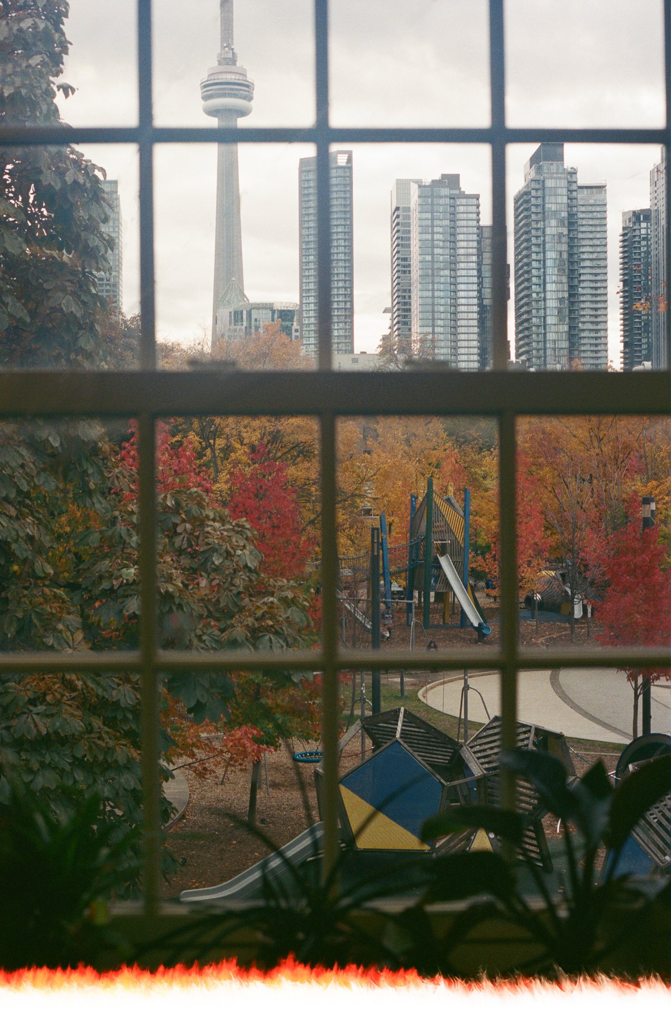 Toronto View, 2025.