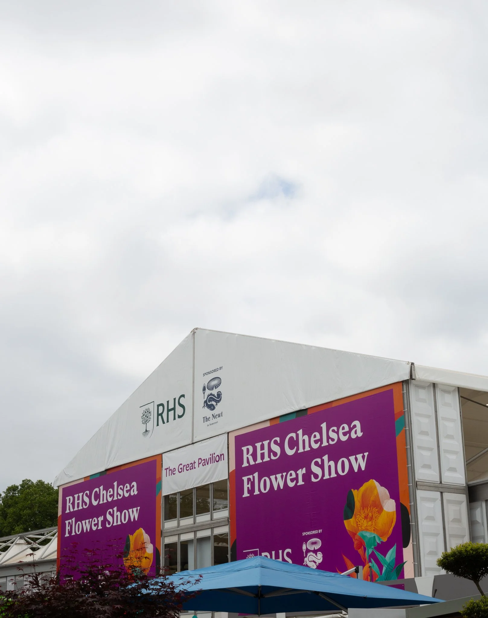 RHS Chelsea Flower Show for Chive, 2025.
