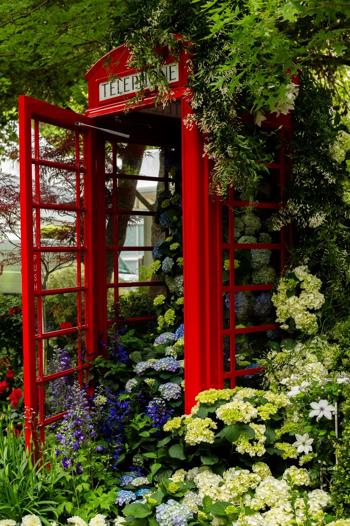 RHS Chelsea Flower Show for Chive, 2025.