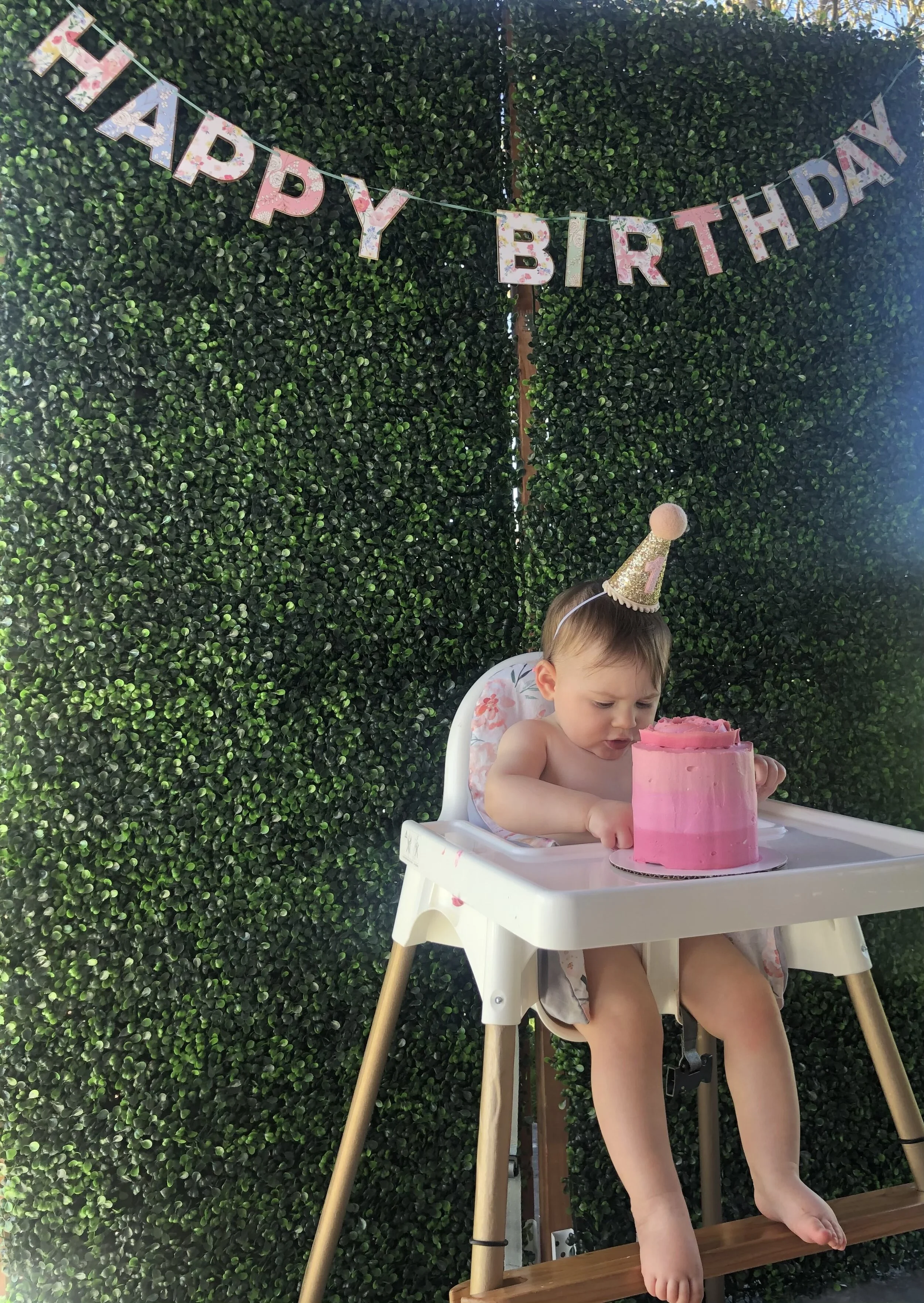 Boxwood Minis - Birthday Party