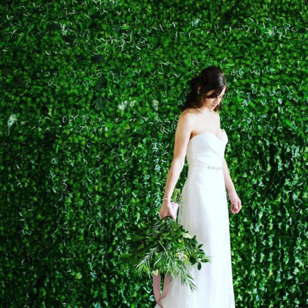 Boxwood Rose Ivy Greenery Photo Wall