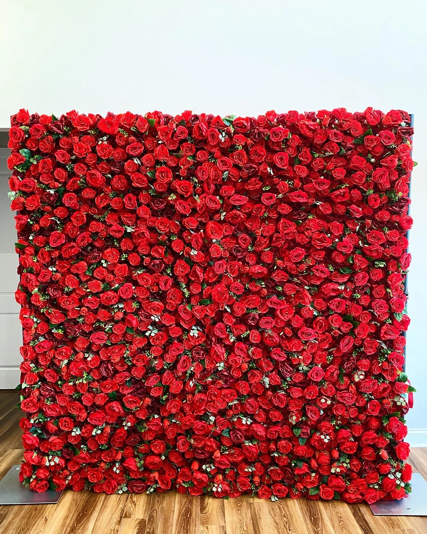 Red Ruby Rose Wall.JPG