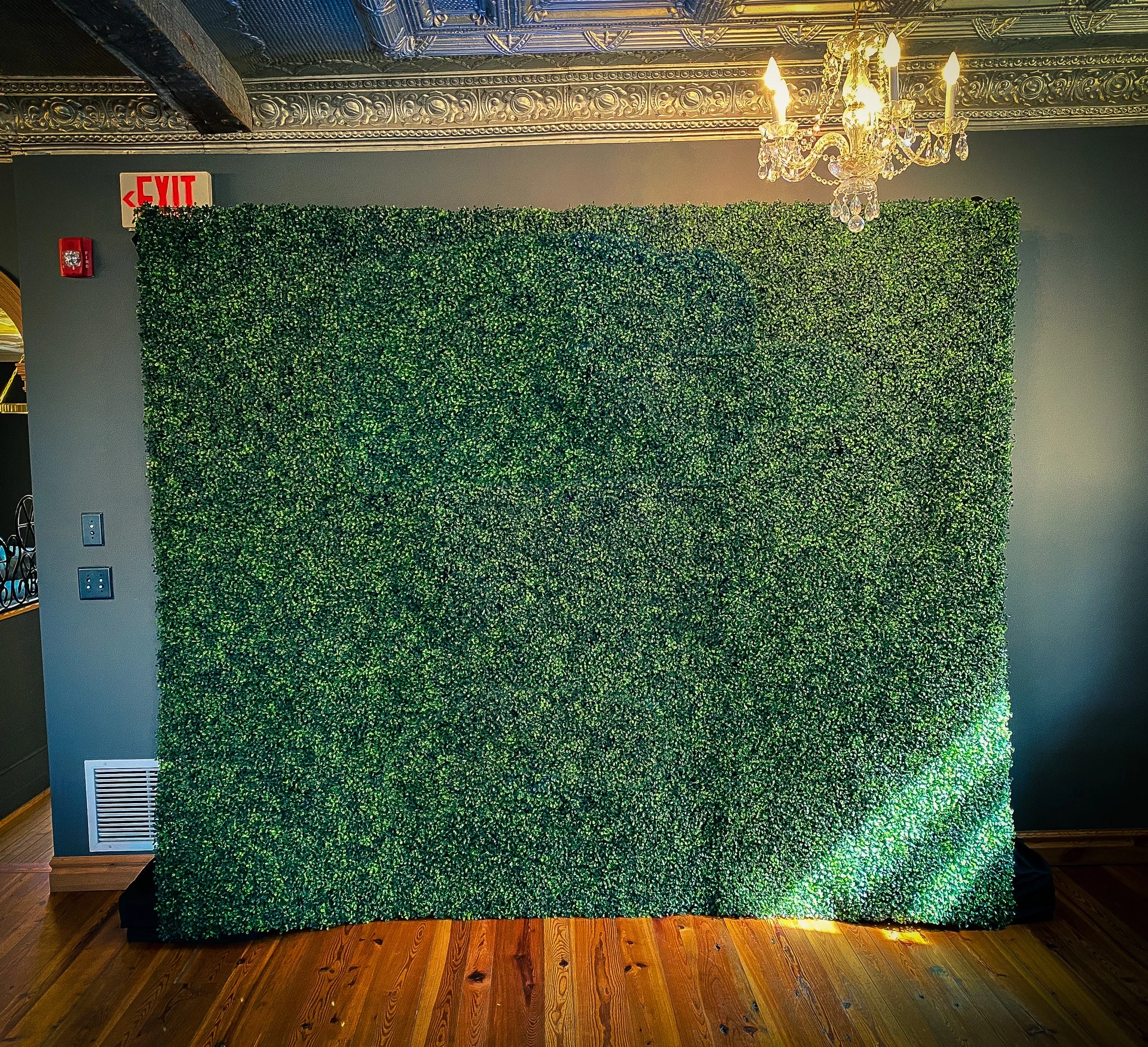 Basic Boxwood Greenery Photo Wall - Boxwood Rose.jpg