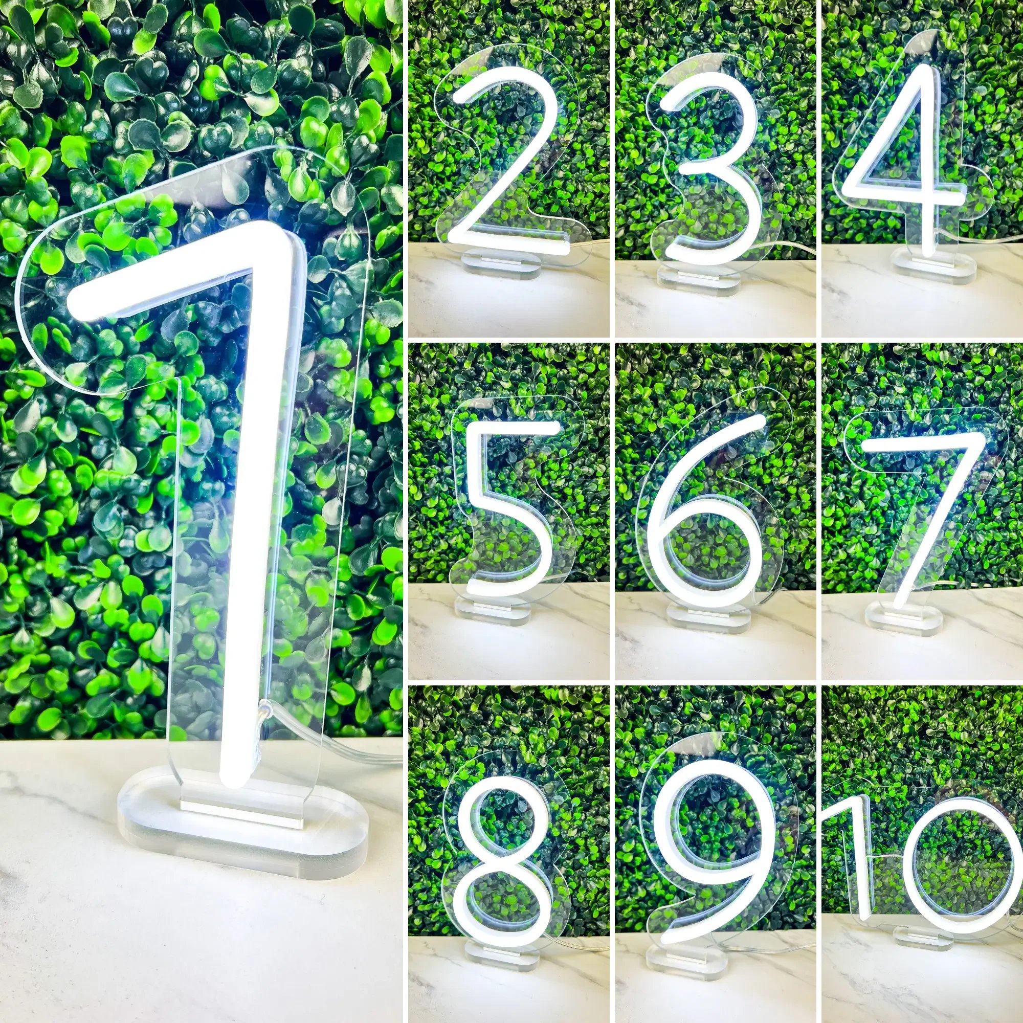 Neon Table Numbers Boxwood Rose Rental