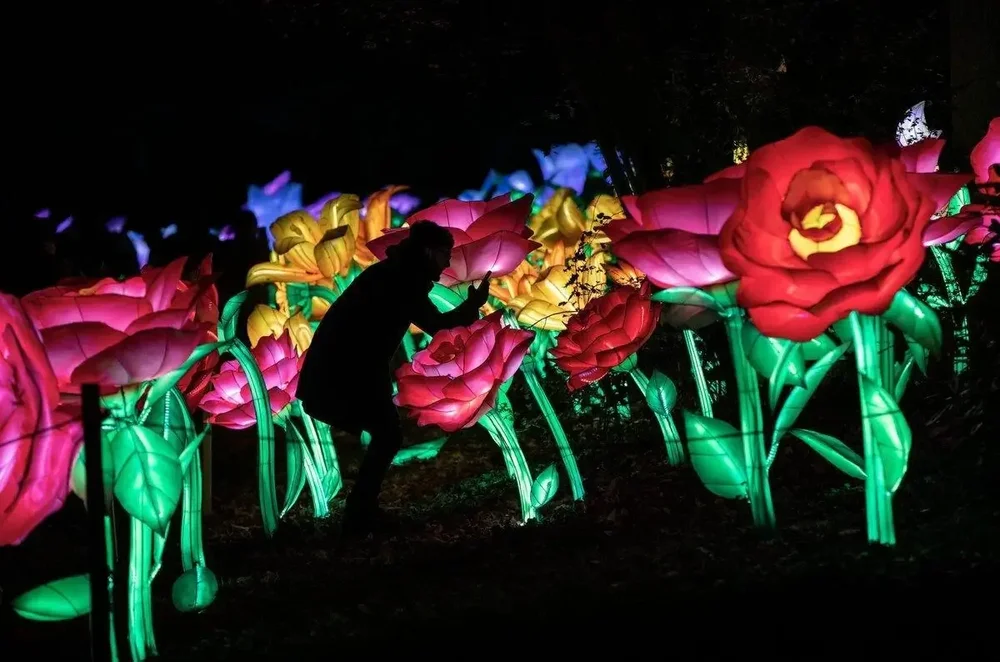 floral light installations inspiration for evening events
