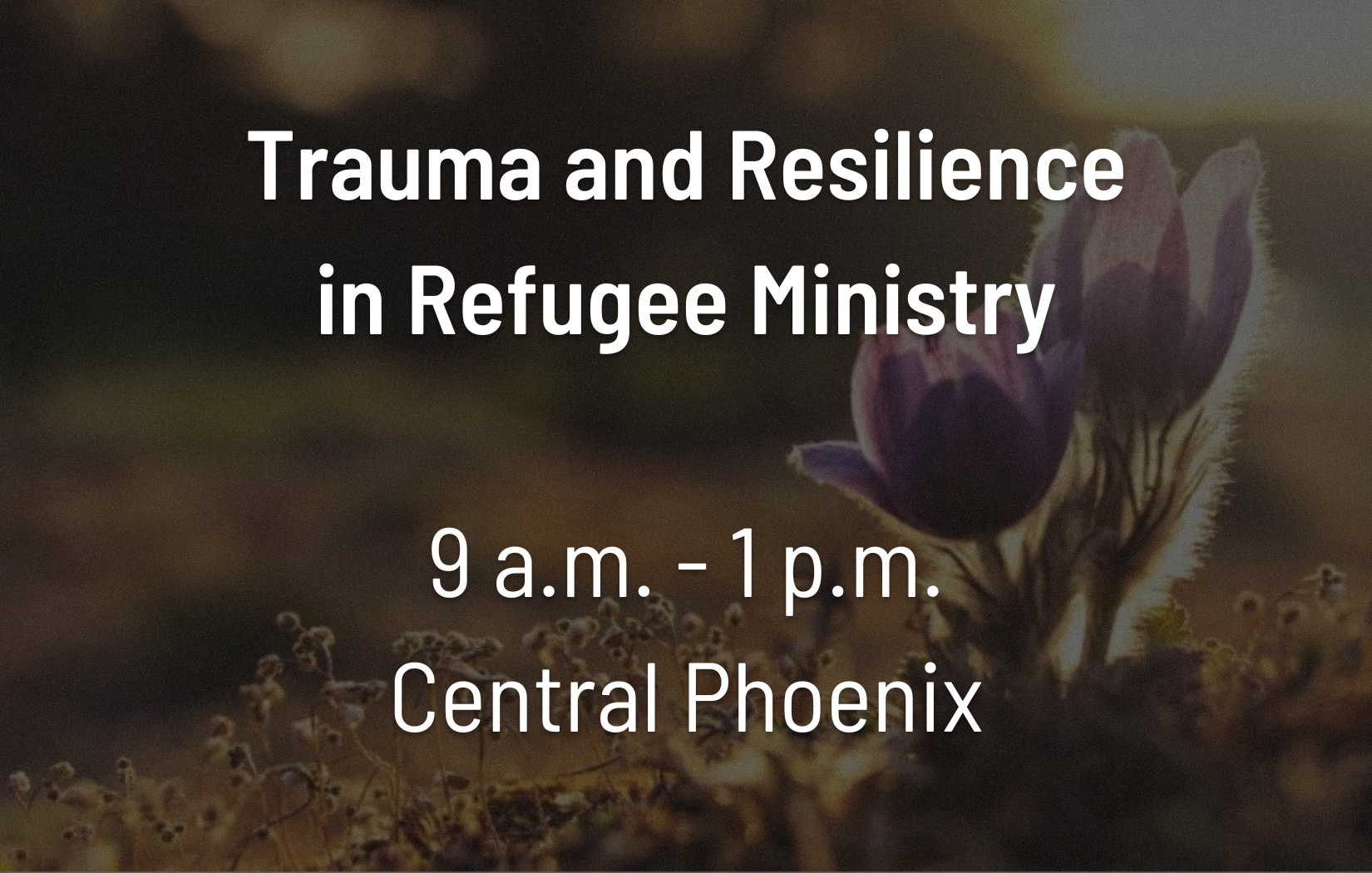 Trauma and Resilience in Refugee Ministry