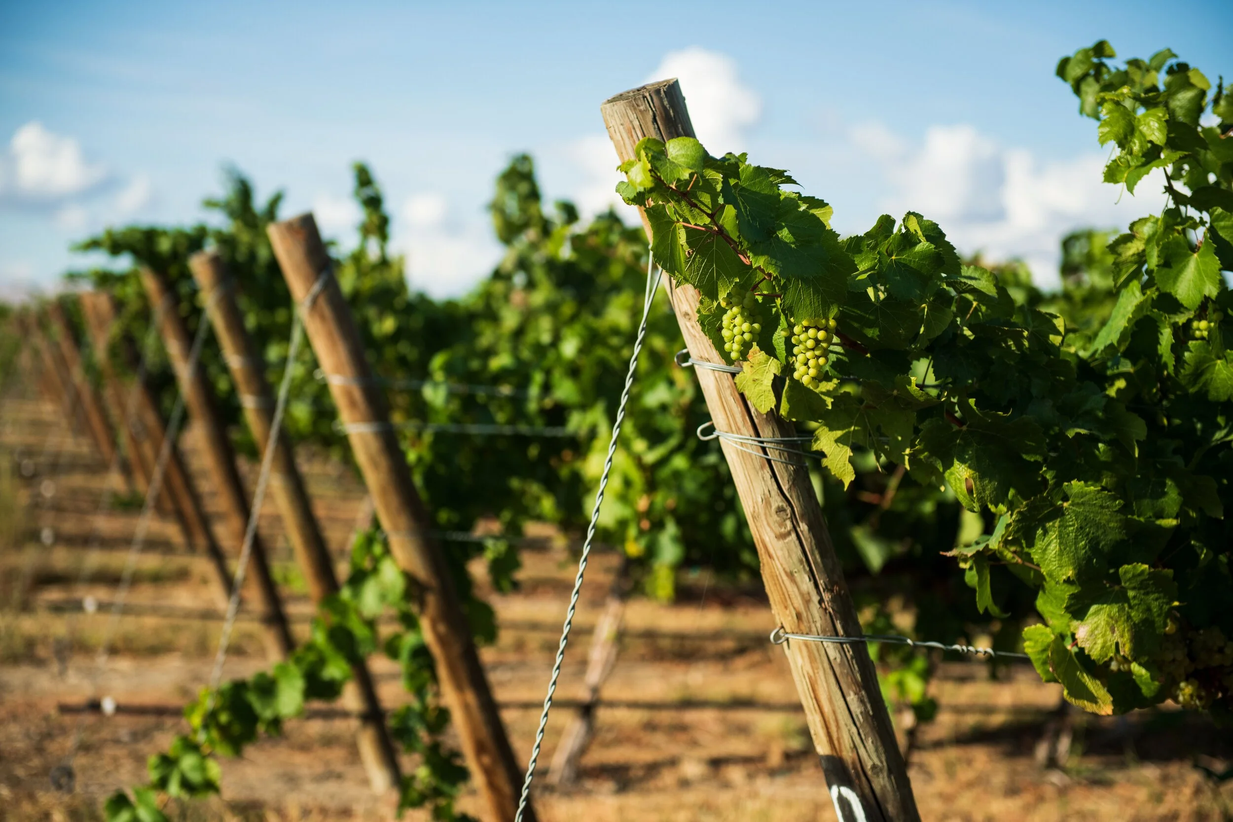 Landau Associates join Western Water Market with a valuable niche