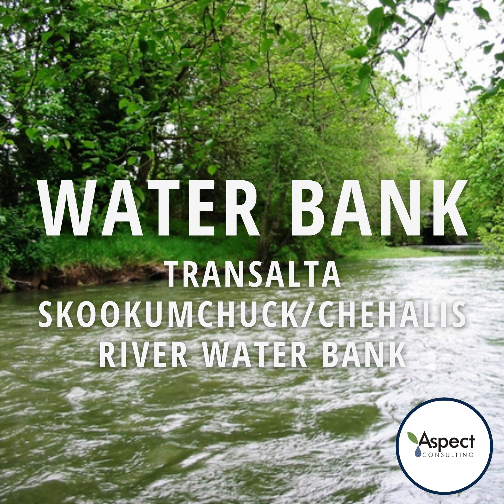 Transalta Skookumchuk Chehalis River Water Rights  - Aspect Consulting