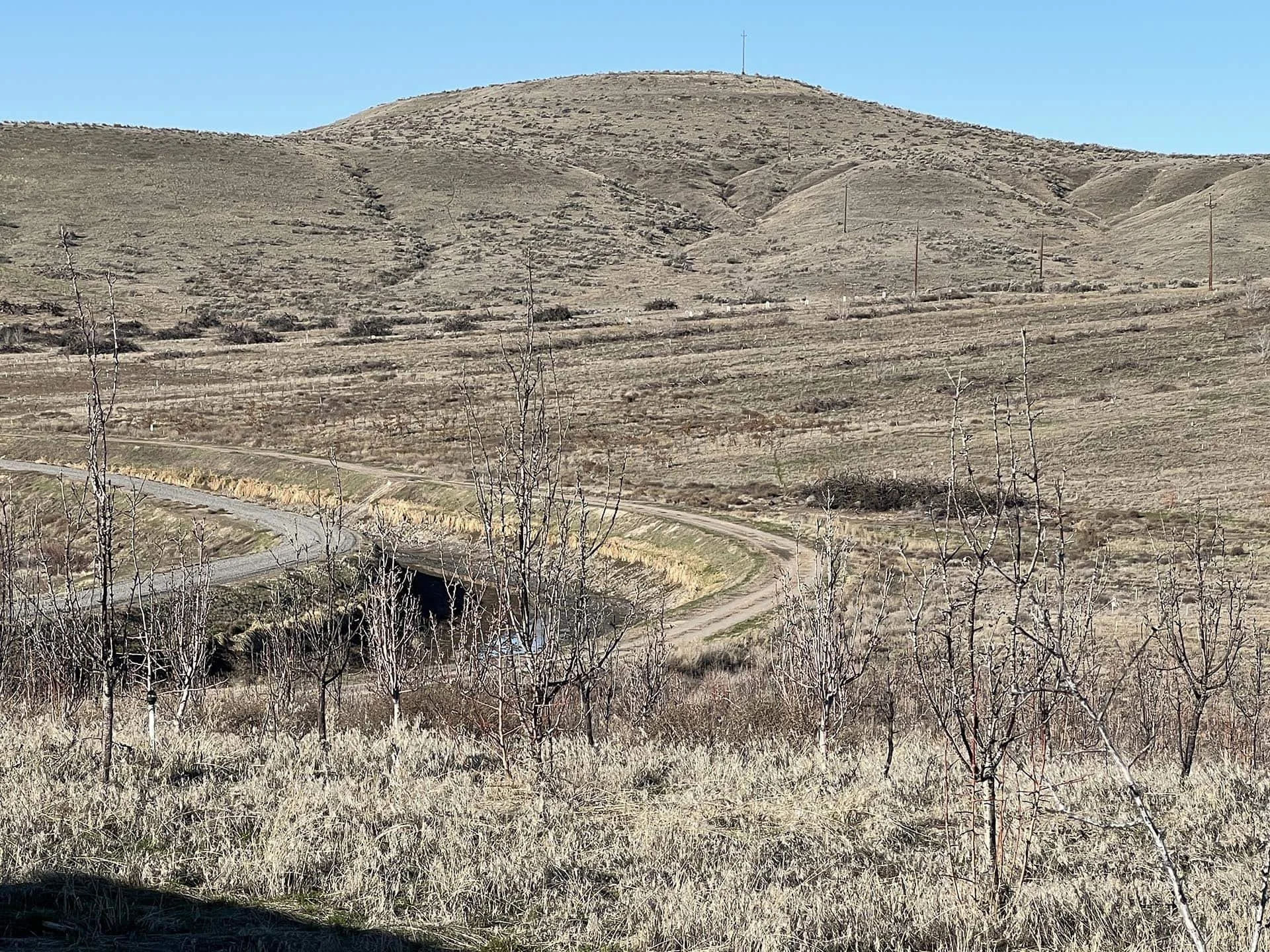 nw-view-of-roza-canal-washington-yakima-co-trustee-sale.jpg