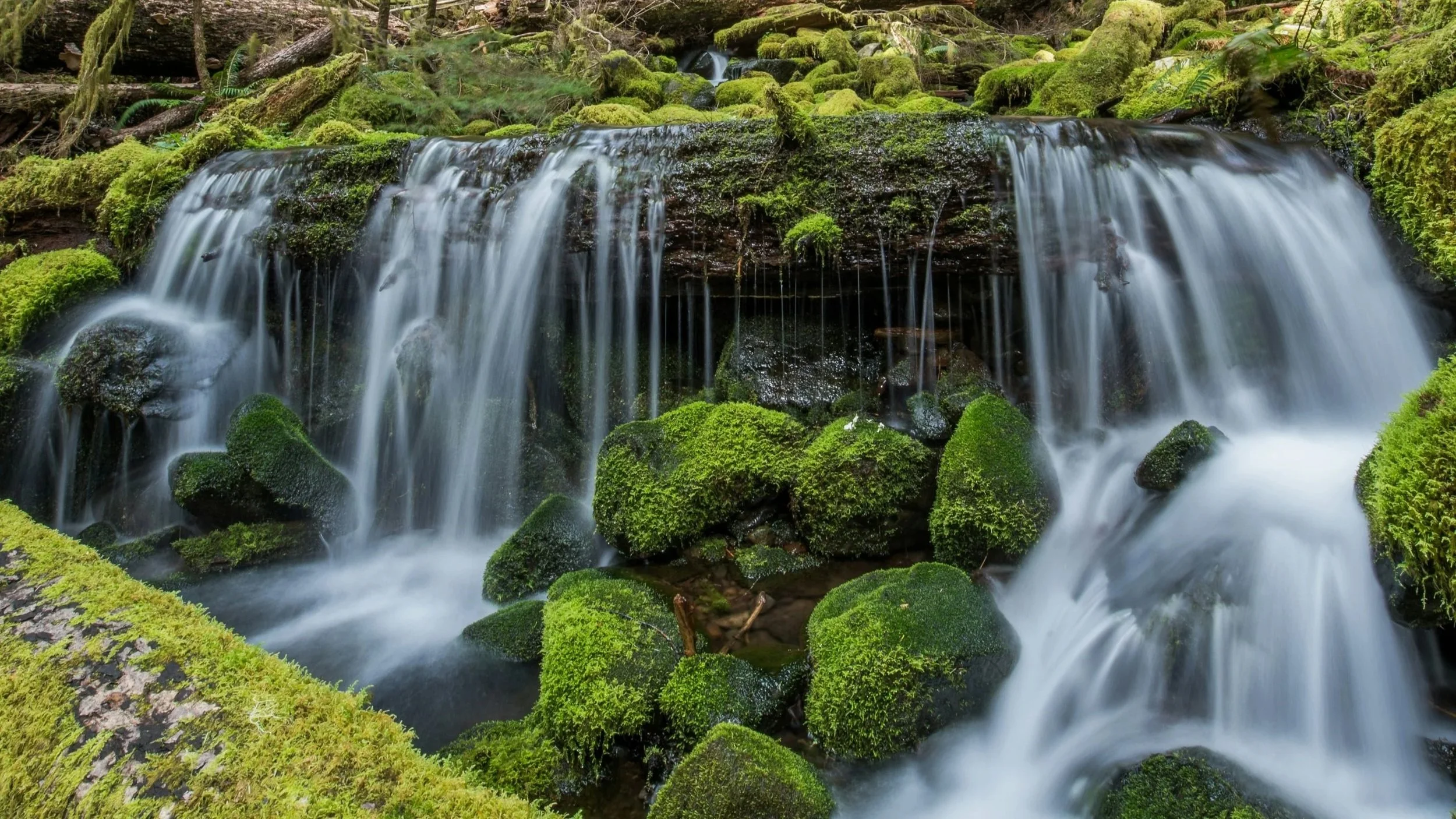 waterfall flowing with green moss