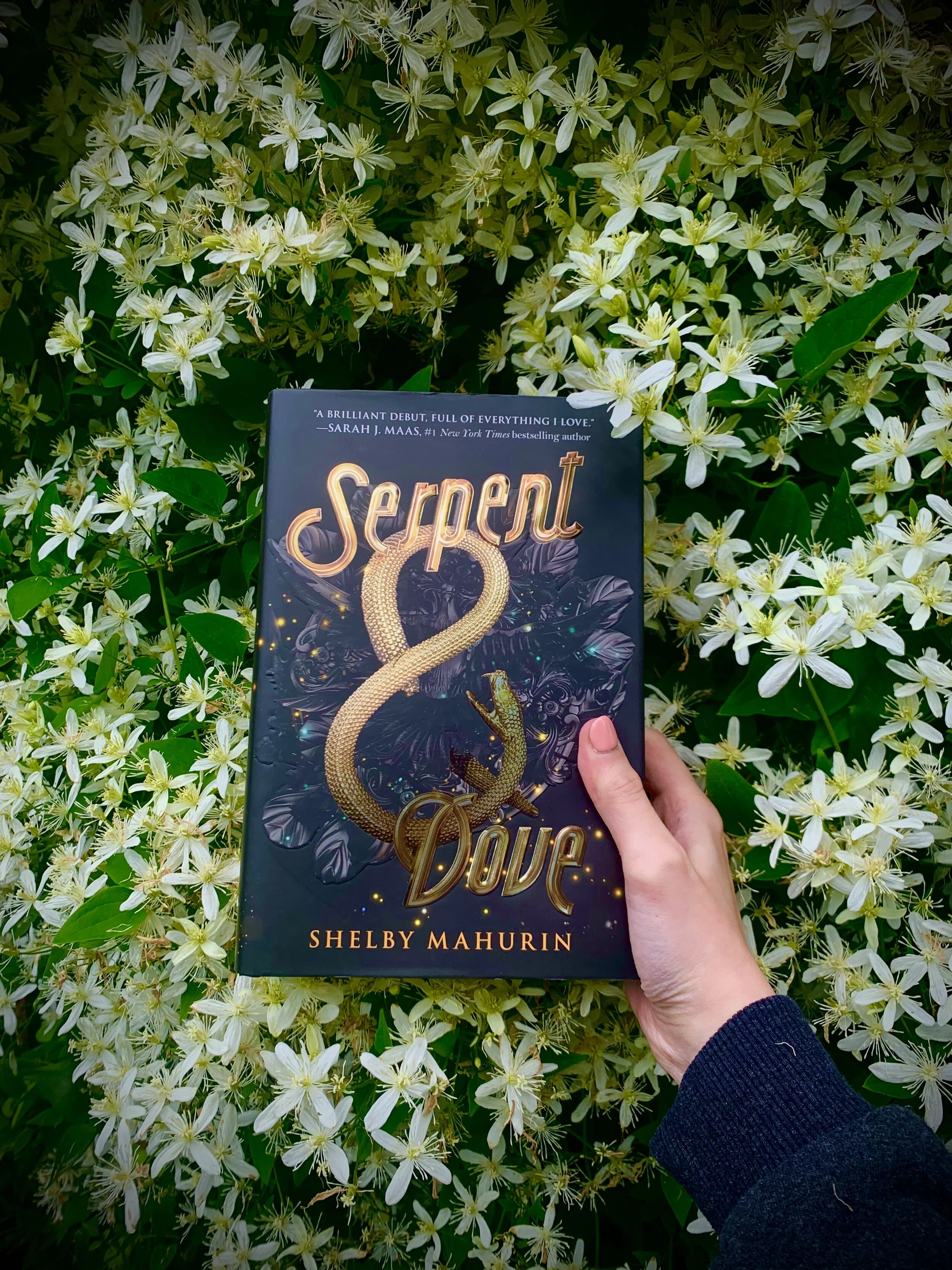 Book Review: Serpent and Dove by Shelby Mahurin