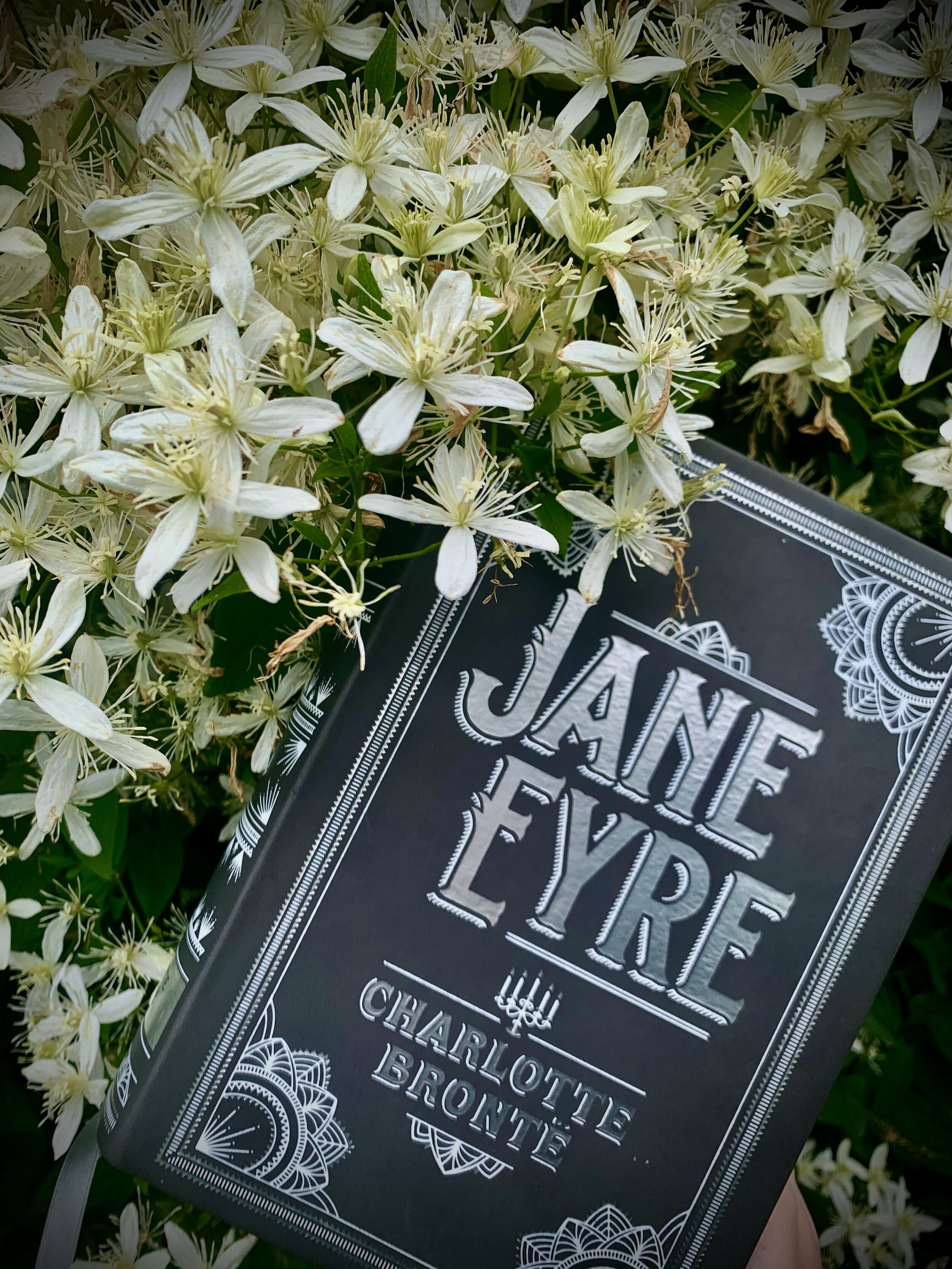 Book Review: Jane Eyre by Charlotte Bronte