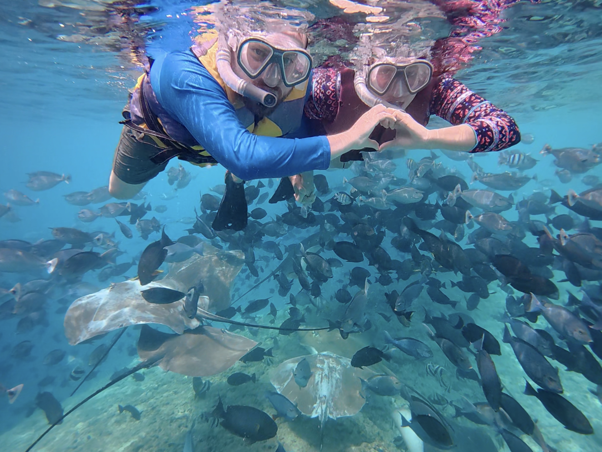 Fish Tank 🇲🇻 Maafushi, Maldives