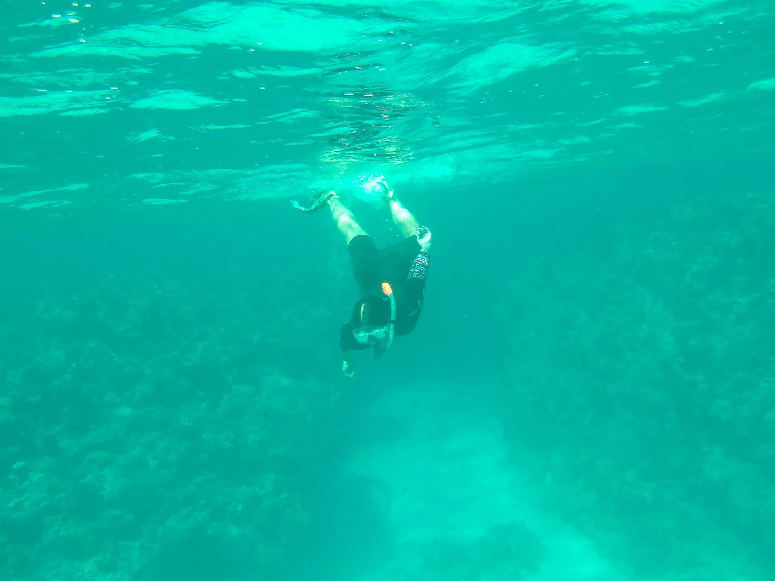 Great Barrier Reef 🇦🇺 Cairns, Australia