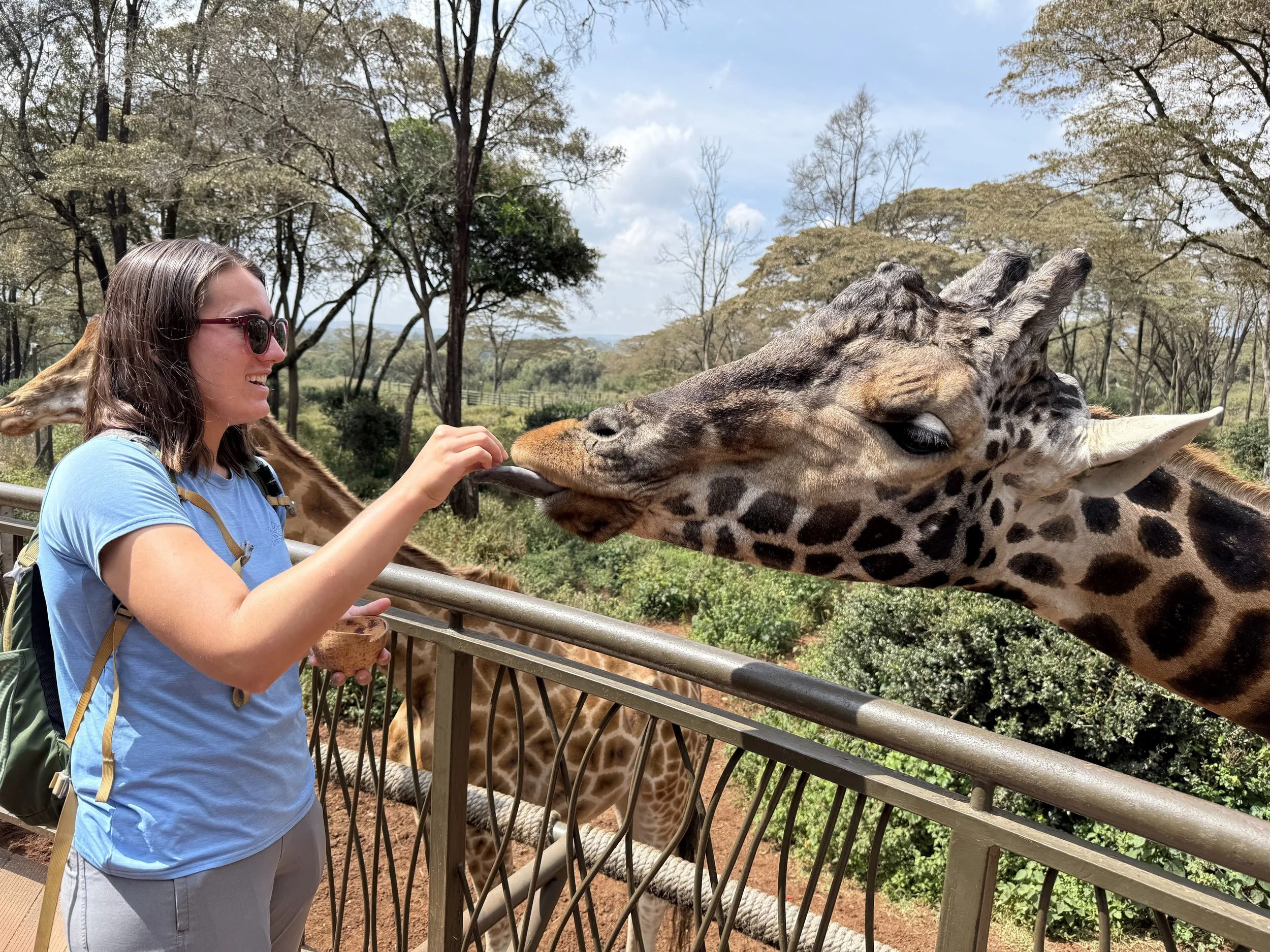 Giraffe Center 🦒 Nairobi, Kenya