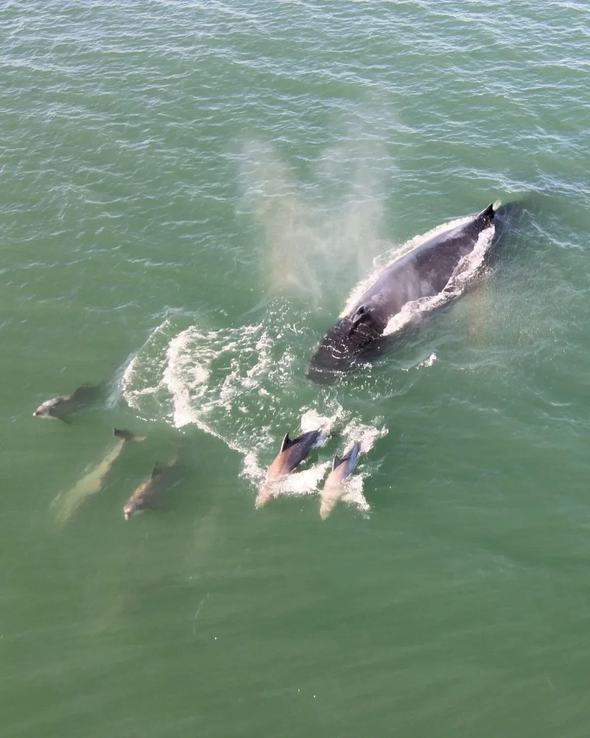 📸 by Twiddy &amp; Co. guest