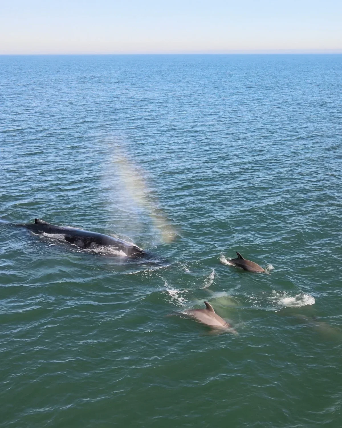 📸 by Twiddy &amp; Co. guest