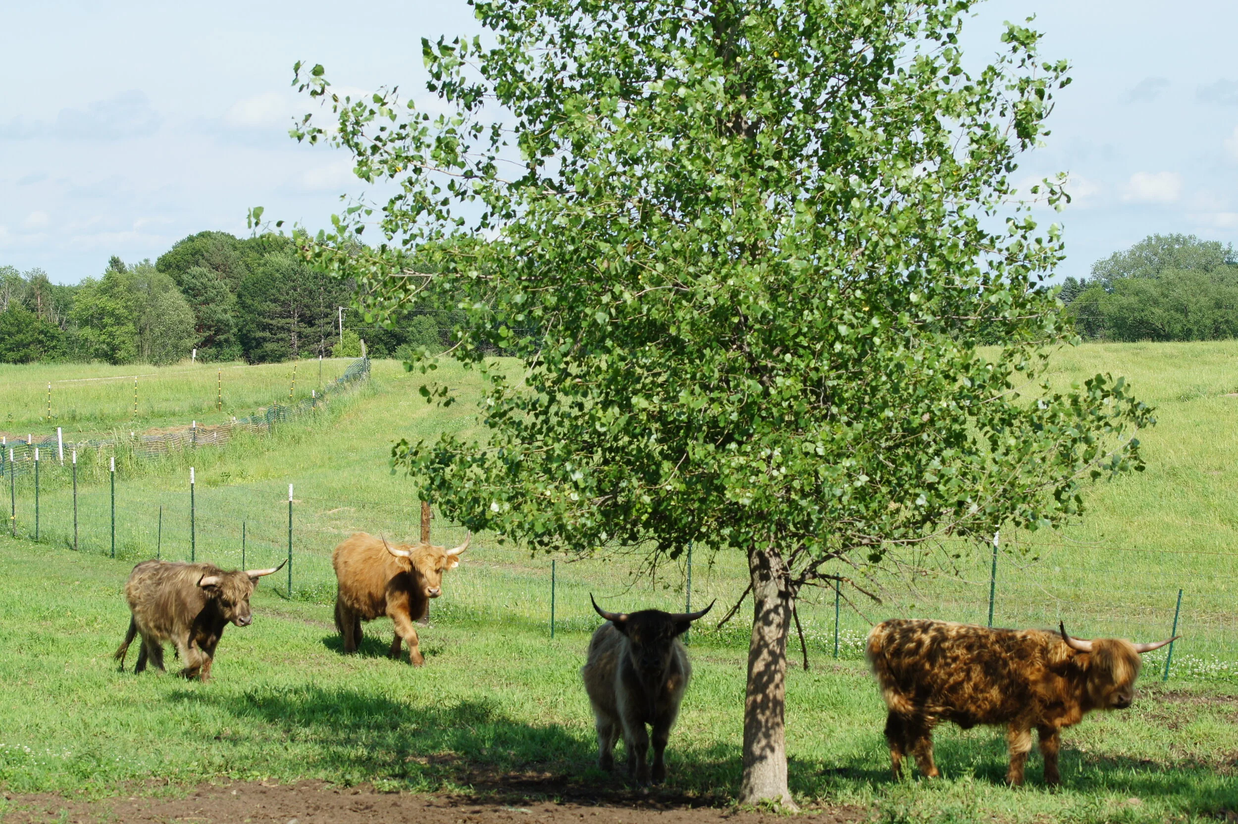 Brian Ehret - DSC01596.JPG