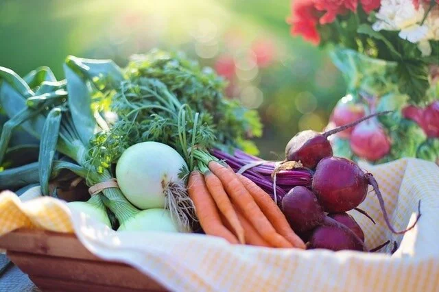 Tips for Starting Your Organic Vegetable Garden