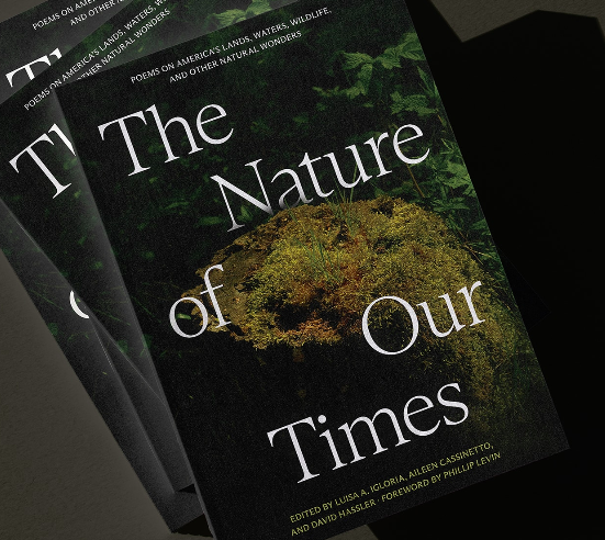 The Nature of Our Times