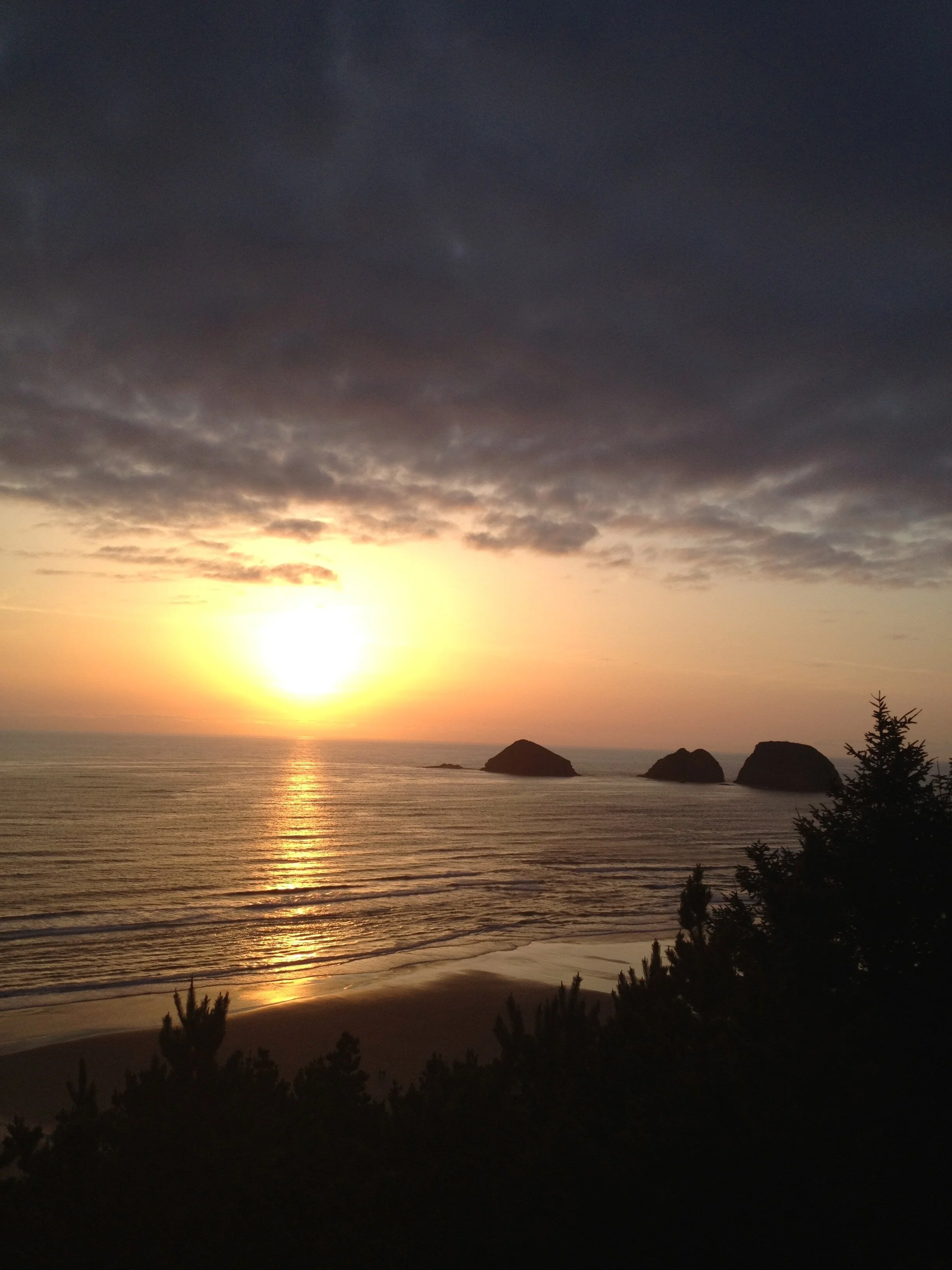 Breathing, Diet, and Movement for Wellness in These Times of COVID-19 and Beyond