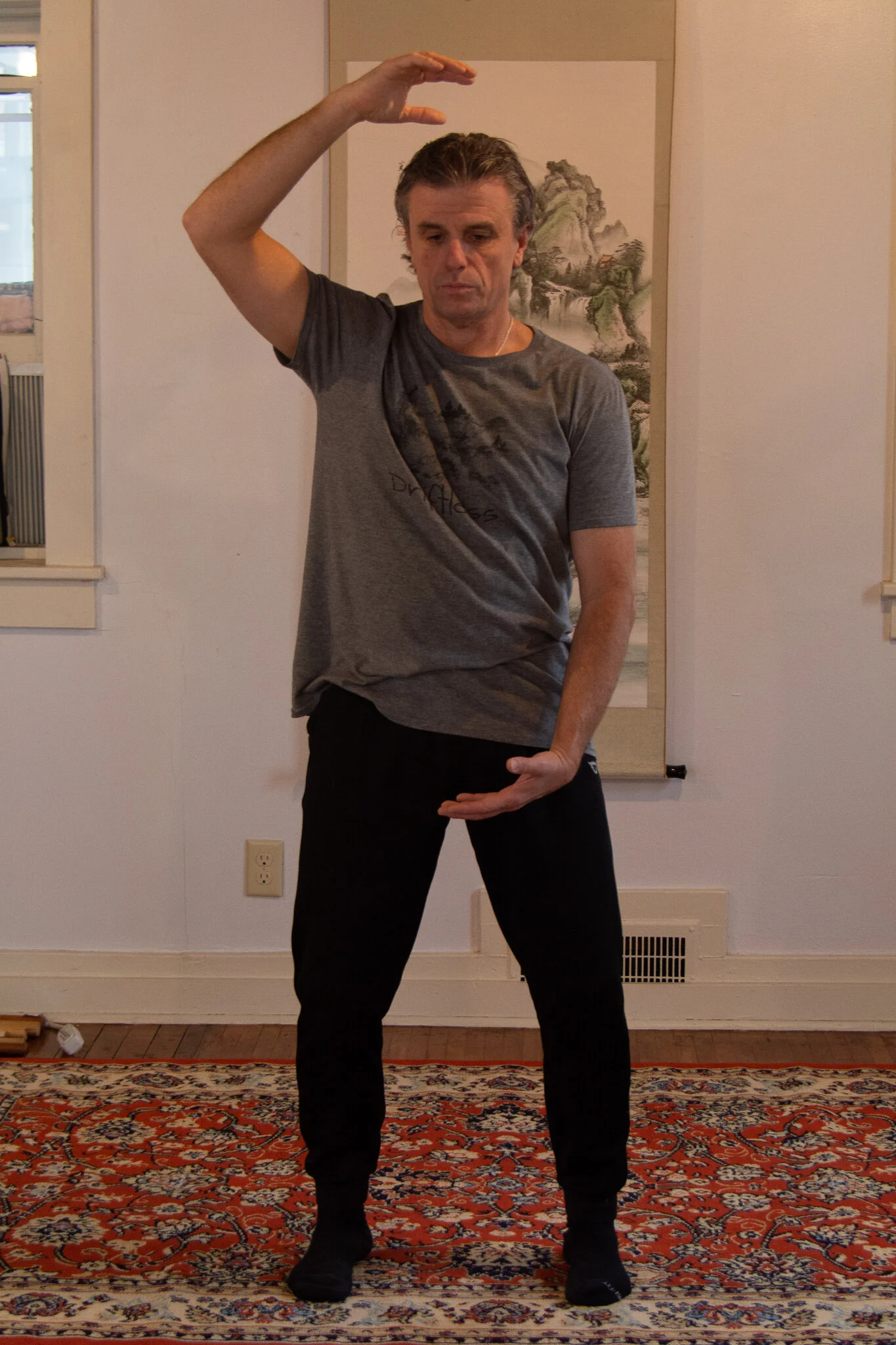 Jing - Qi - Shen Qigong Package