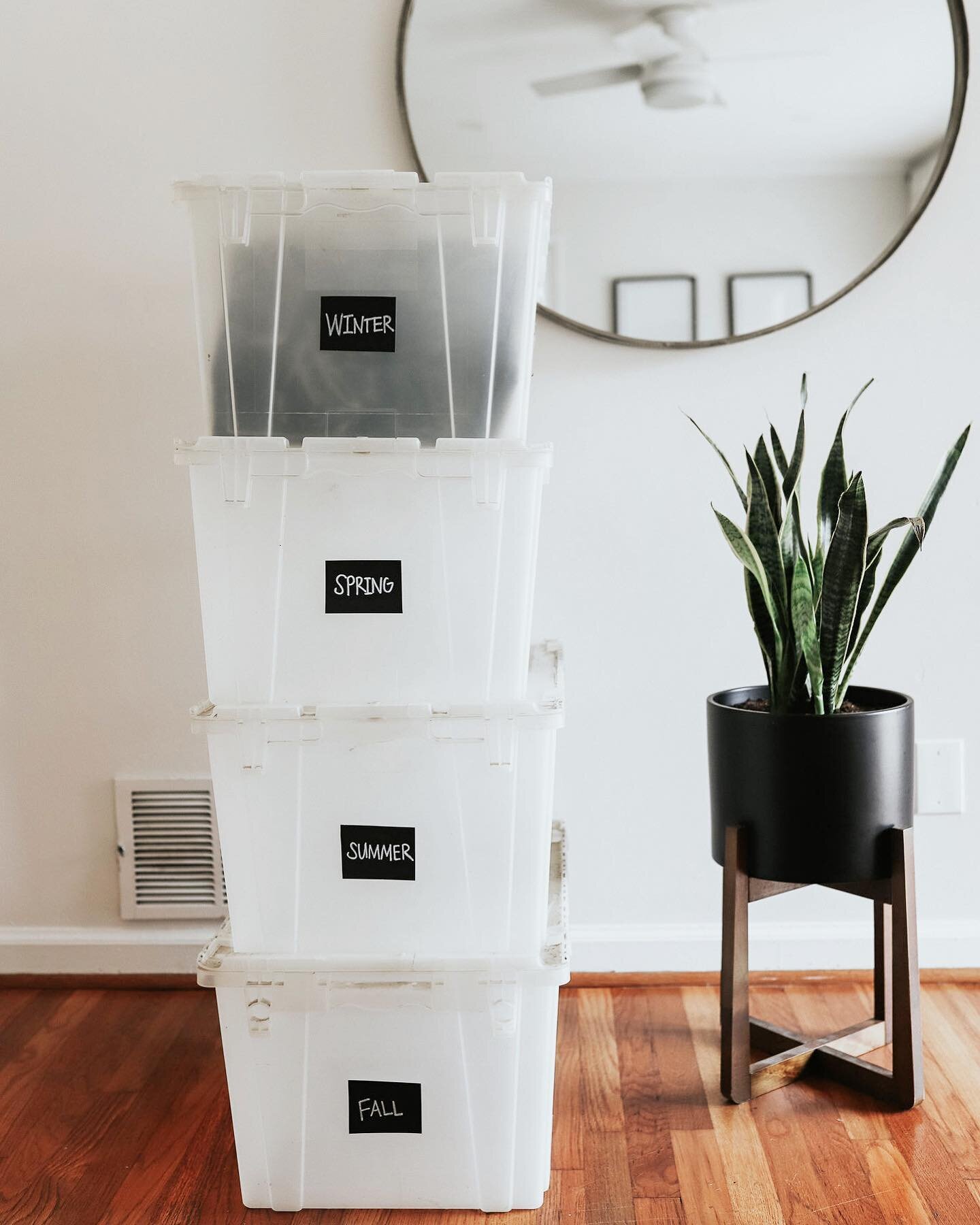 SPRING CLEANING TIME! ✨✨ 
.
.
.

Need help purging? Want to brighten up your closets with new containers? 
Well, theres no better way to start off spring and summer than by getting organized! Call us! 

#organize #homeorganization #springcleaning #ti