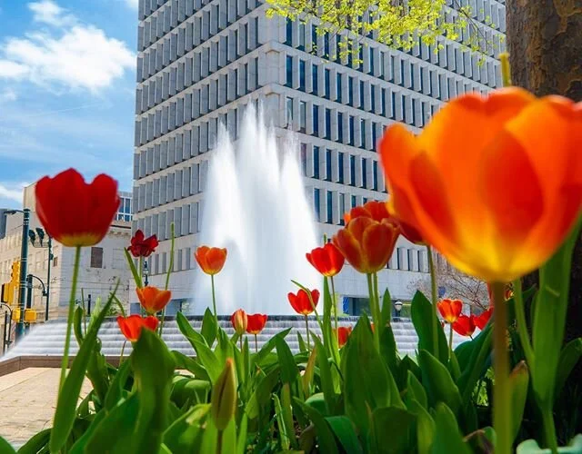 Woodruff Park in bloom
. .
.
#atlantasnaps #weloveatl #tulips #photographylife #photooftheday #sonyalpha #sonya7iii #spring #discoveratlanta #atlantaga #streetphotography #clouds #cloudscape #atl #photographylovers #atlanta #photo #woodruffpark @wood
