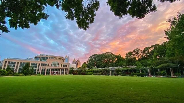 so amazing to finally get back to the botanical gardens yesterday. @atlbotanical missed my plant buddies. 🌸🌺🌼🌷
.
.
.
.
.
#atlantasnaps #psychadelic  #atlantabotanicalgardens #weloveatl #photographylife #photooftheday #sonyalpha #sonya7iii #summer