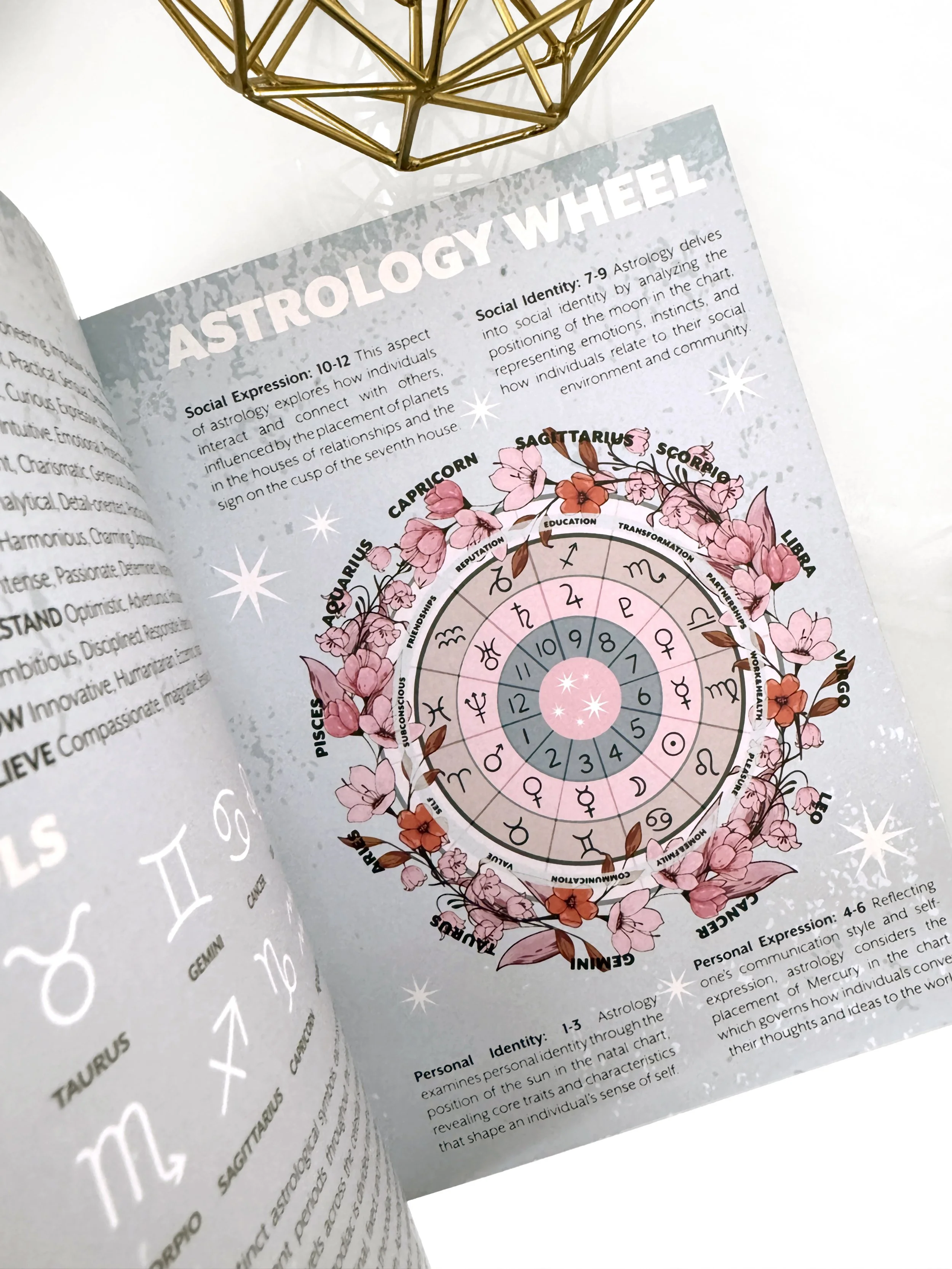 MORII BOOK AST WHEEL.jpg