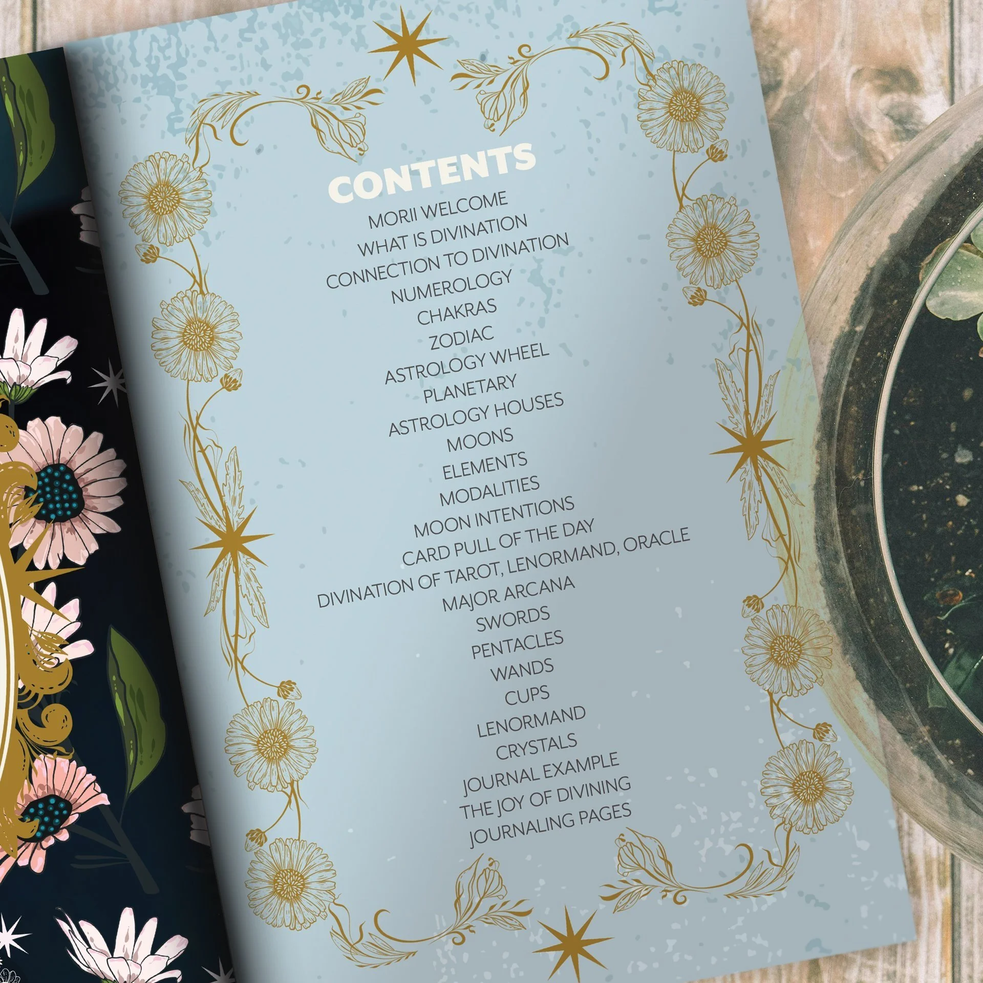 MORII+CONTENTS+copy.jpg