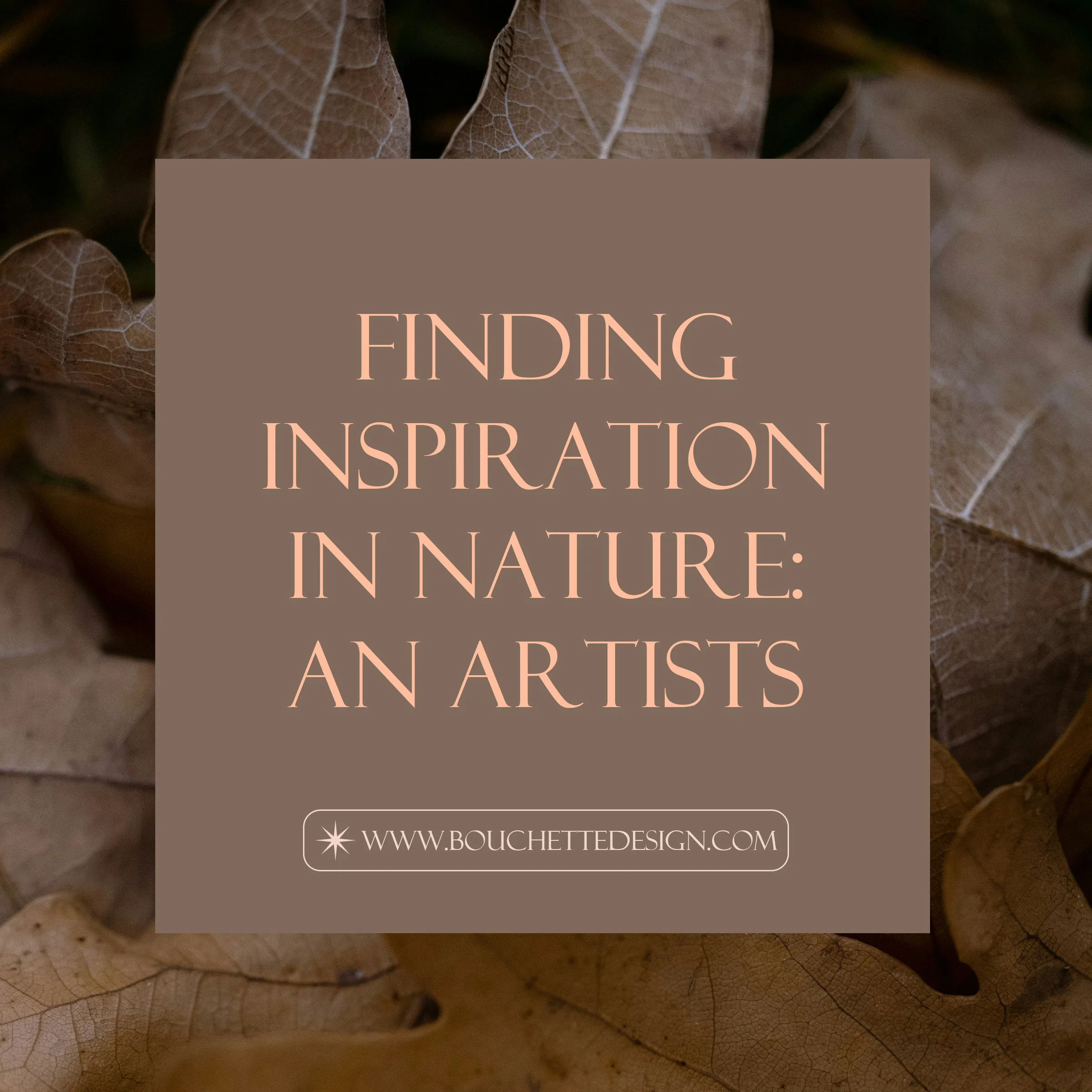 Finding Inspiration in Nature