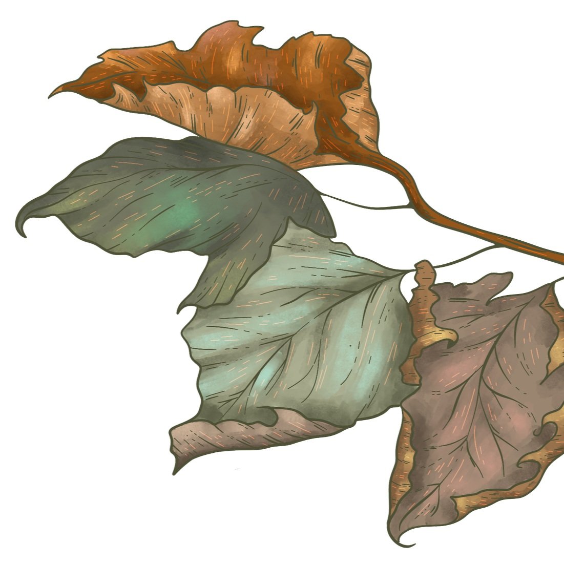 LEAF.jpg