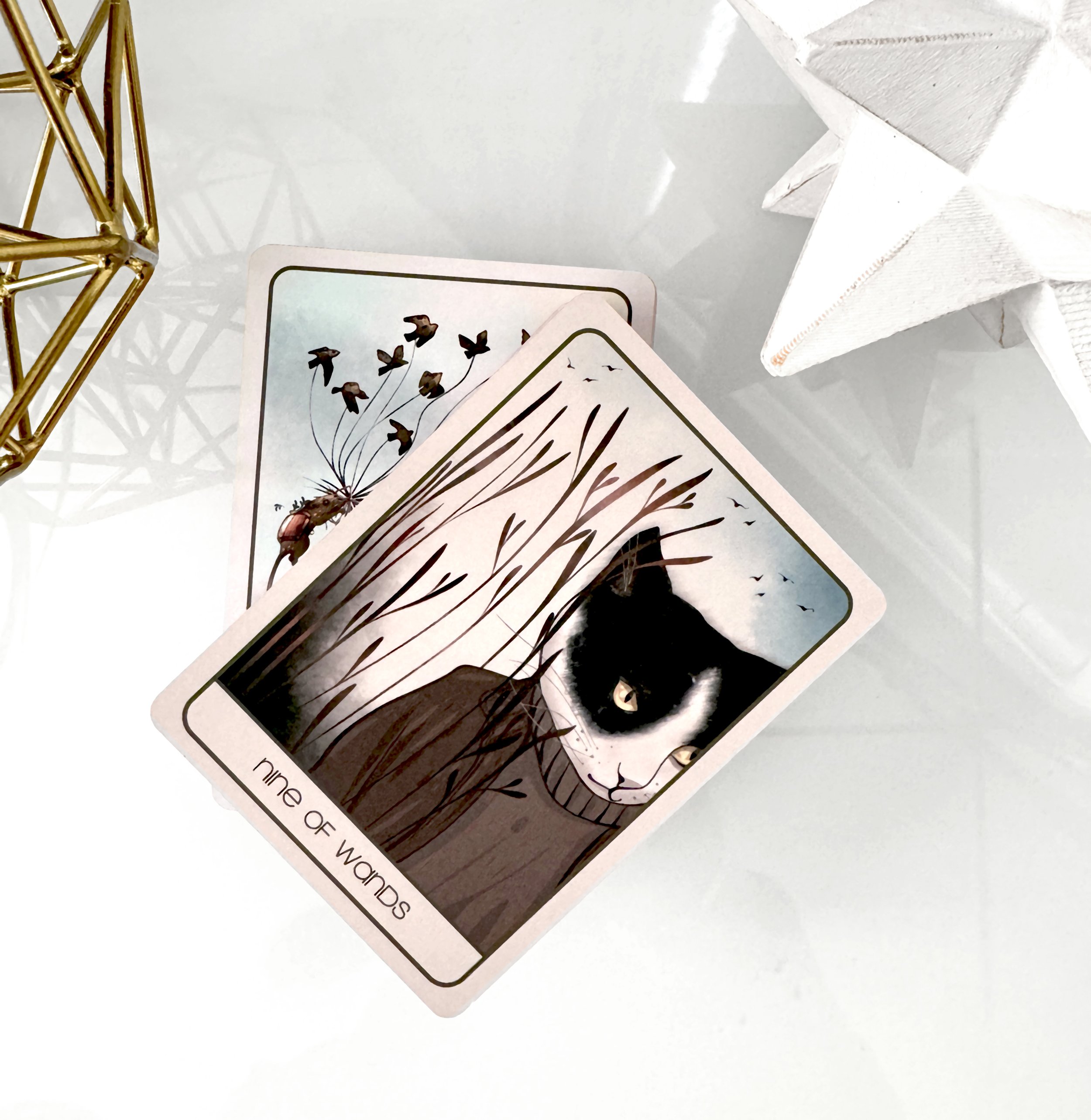 ORENDA CARDS 2.jpg