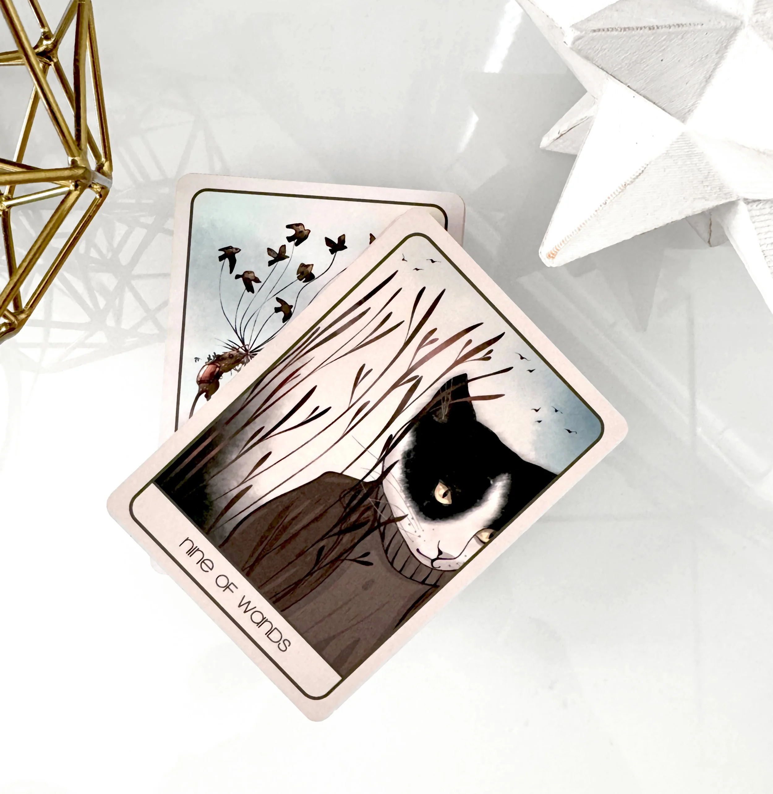 ORENDA CARDS 2.jpg