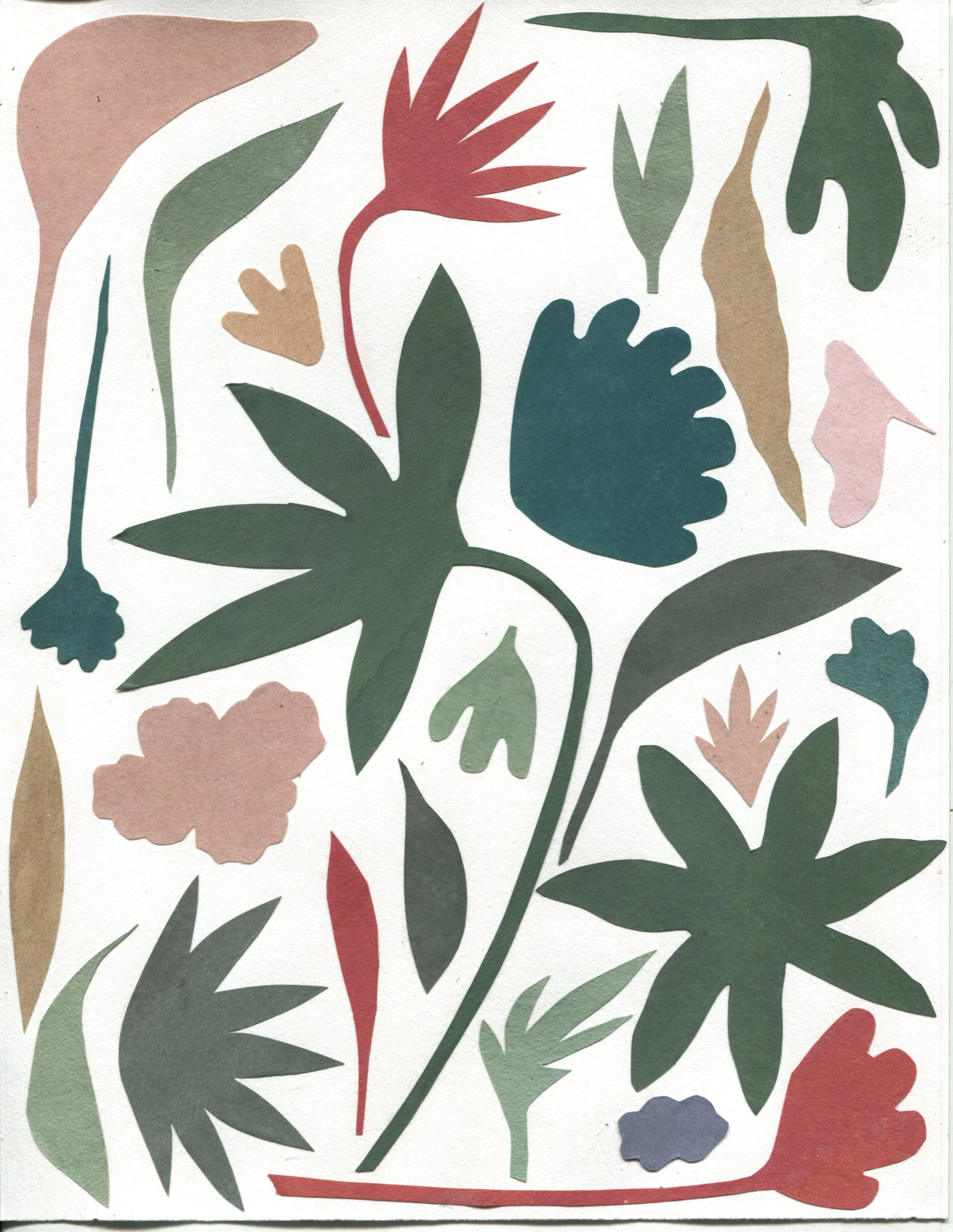 Plants_Two.jpg