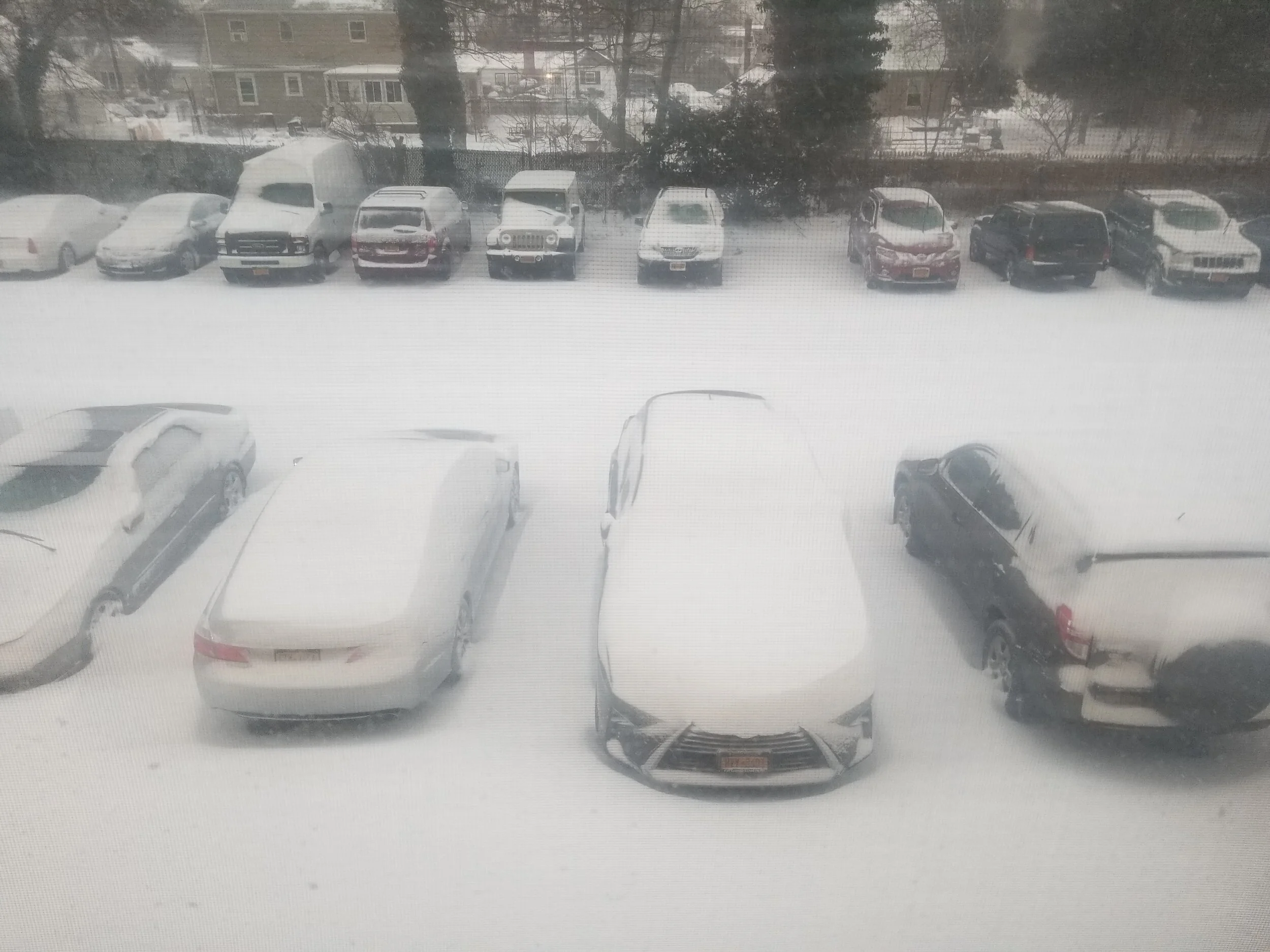 Snow Day!