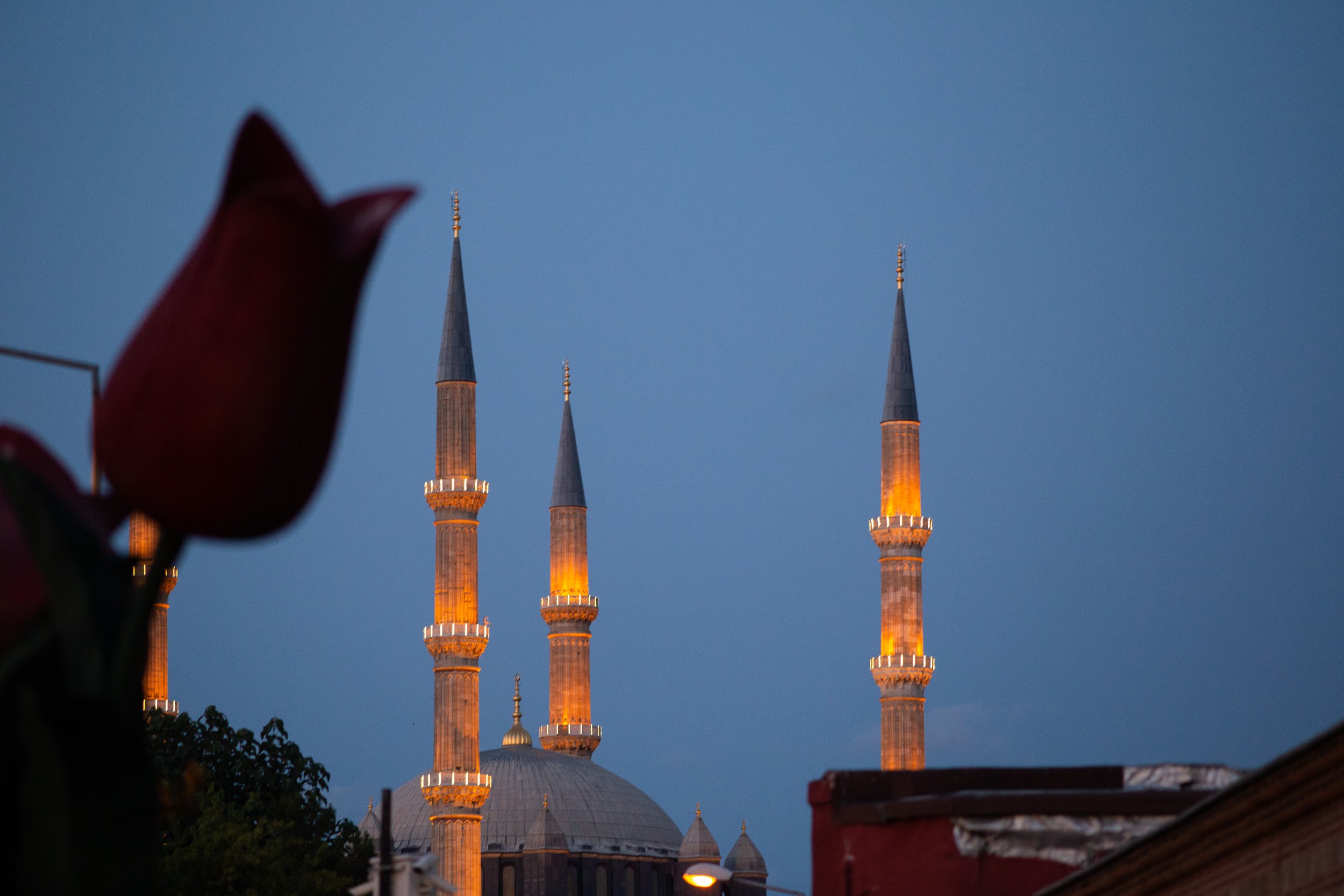Istanbul Street Photography_5049.jpg