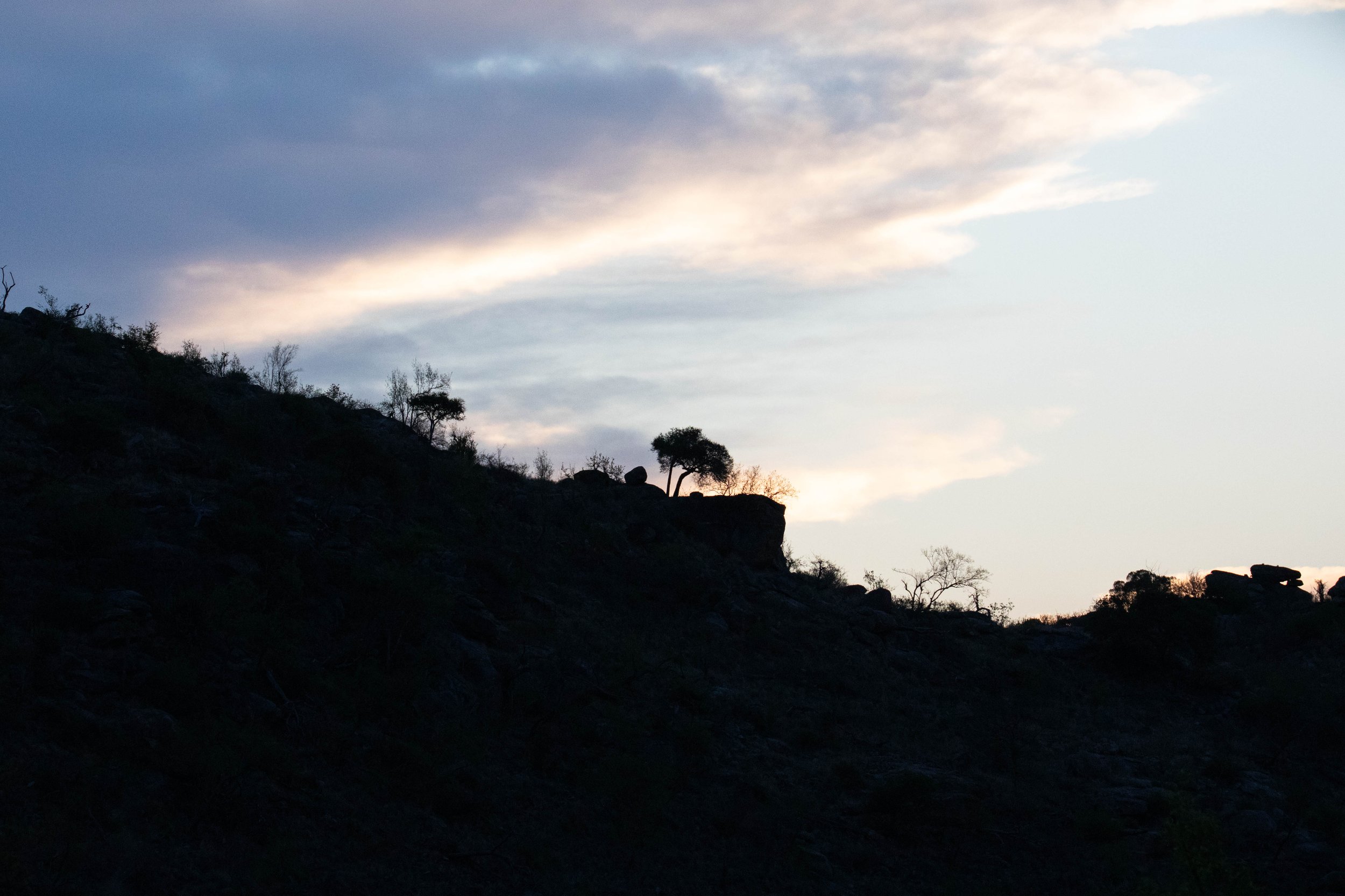 kruger 24-6269.jpg