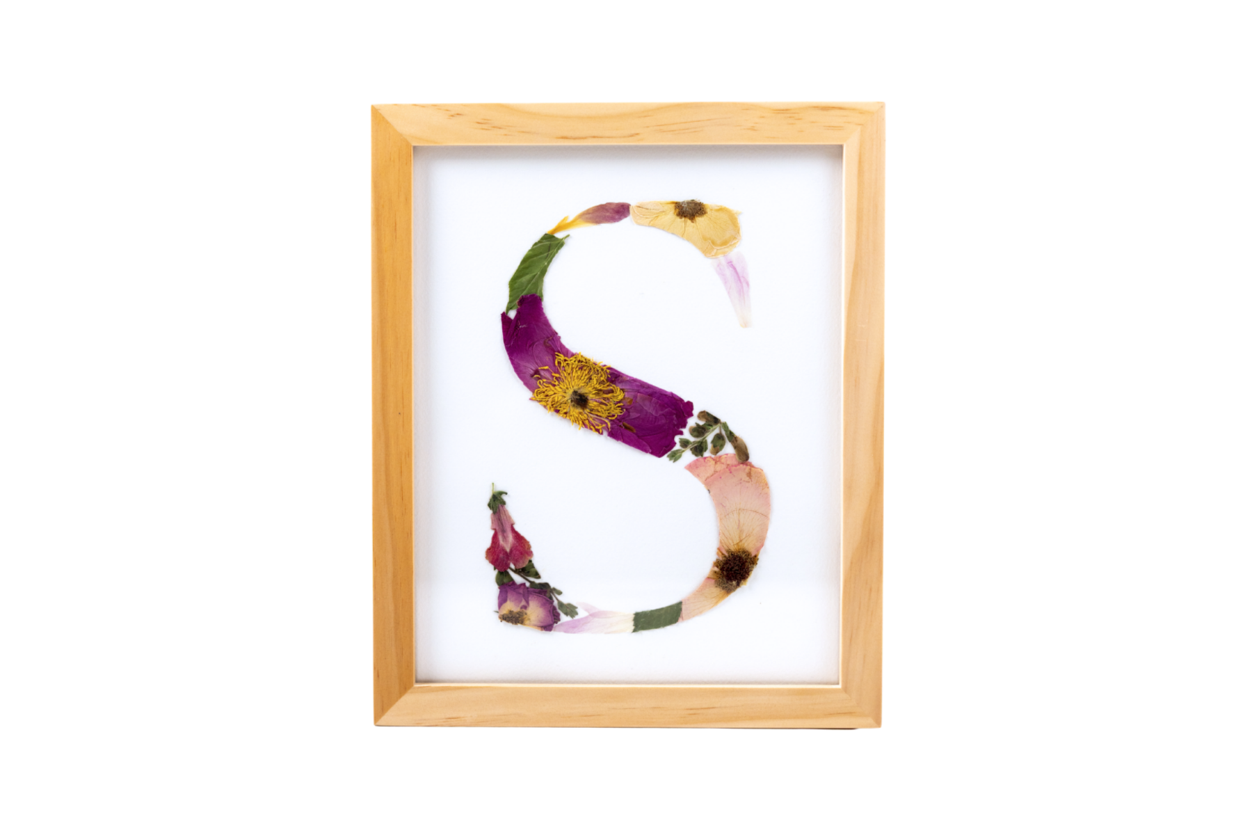 Untitled design (43).png