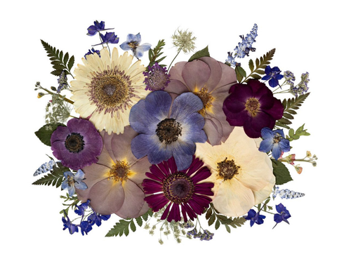 PurpleandBluePressedBouquet.png