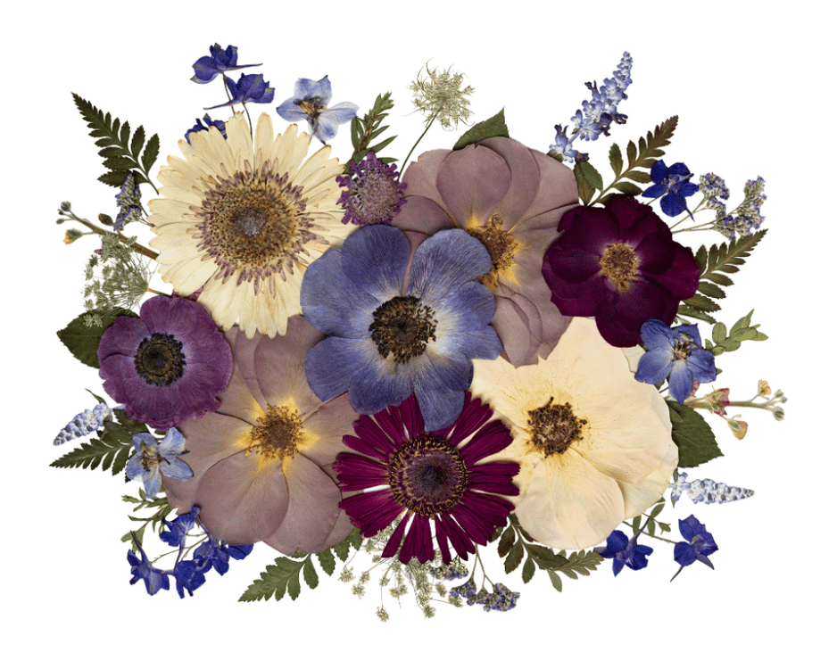 PurpleandBluePressedBouquet.png