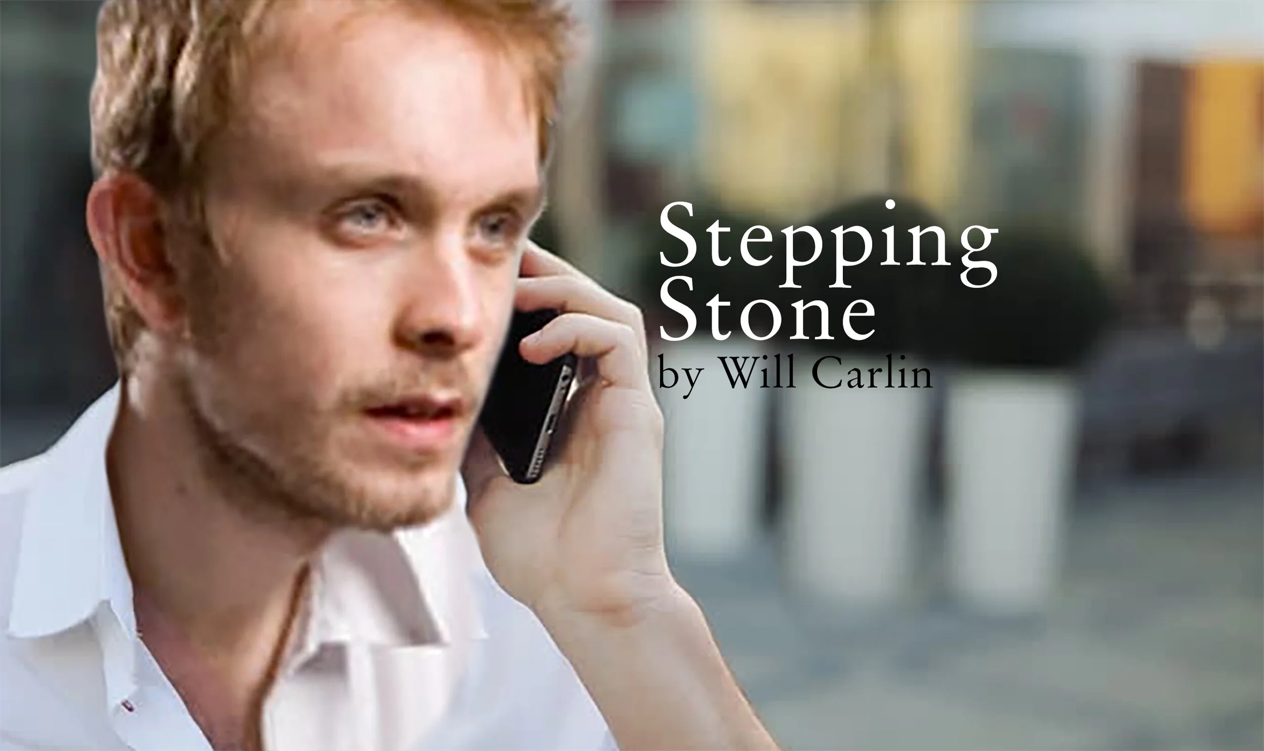 Stepping Stone Cover Image.jpg