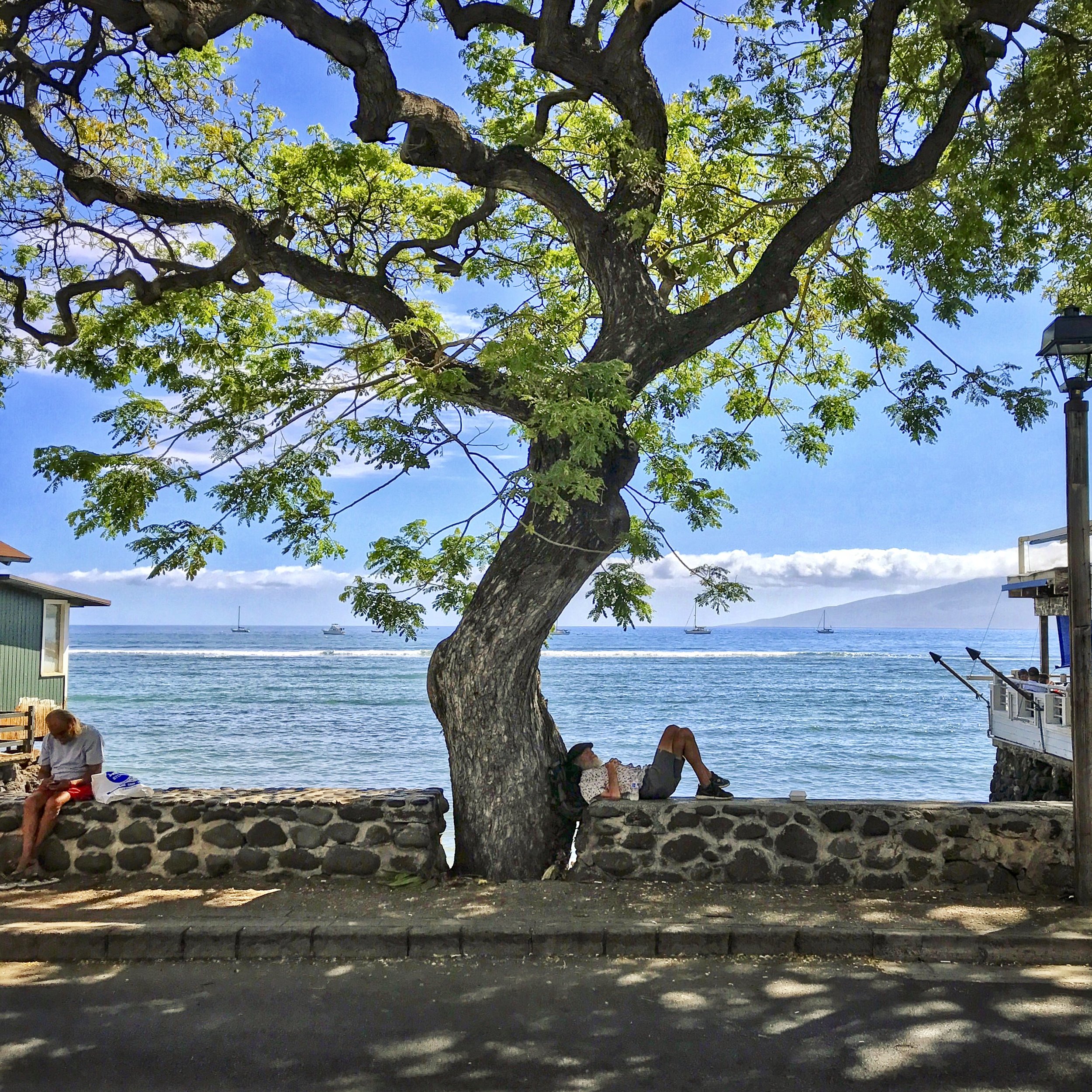 Relaxing on Front Street, Lahiana