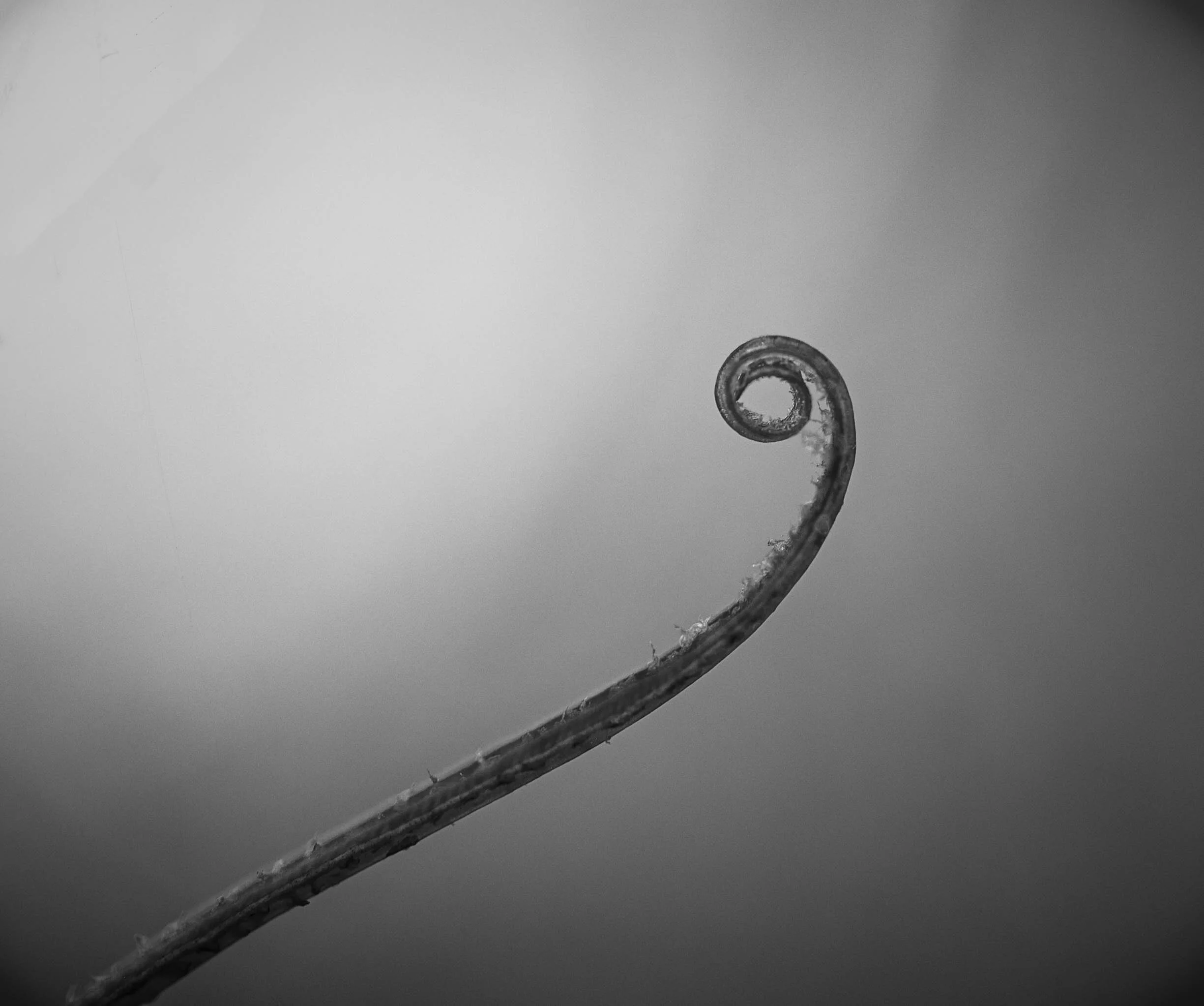 454A3254-Edit.JPG