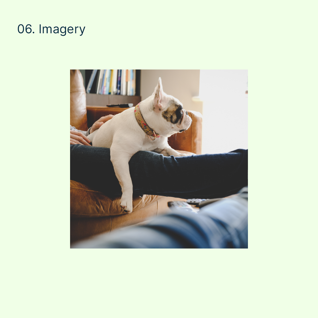 Imagery.png