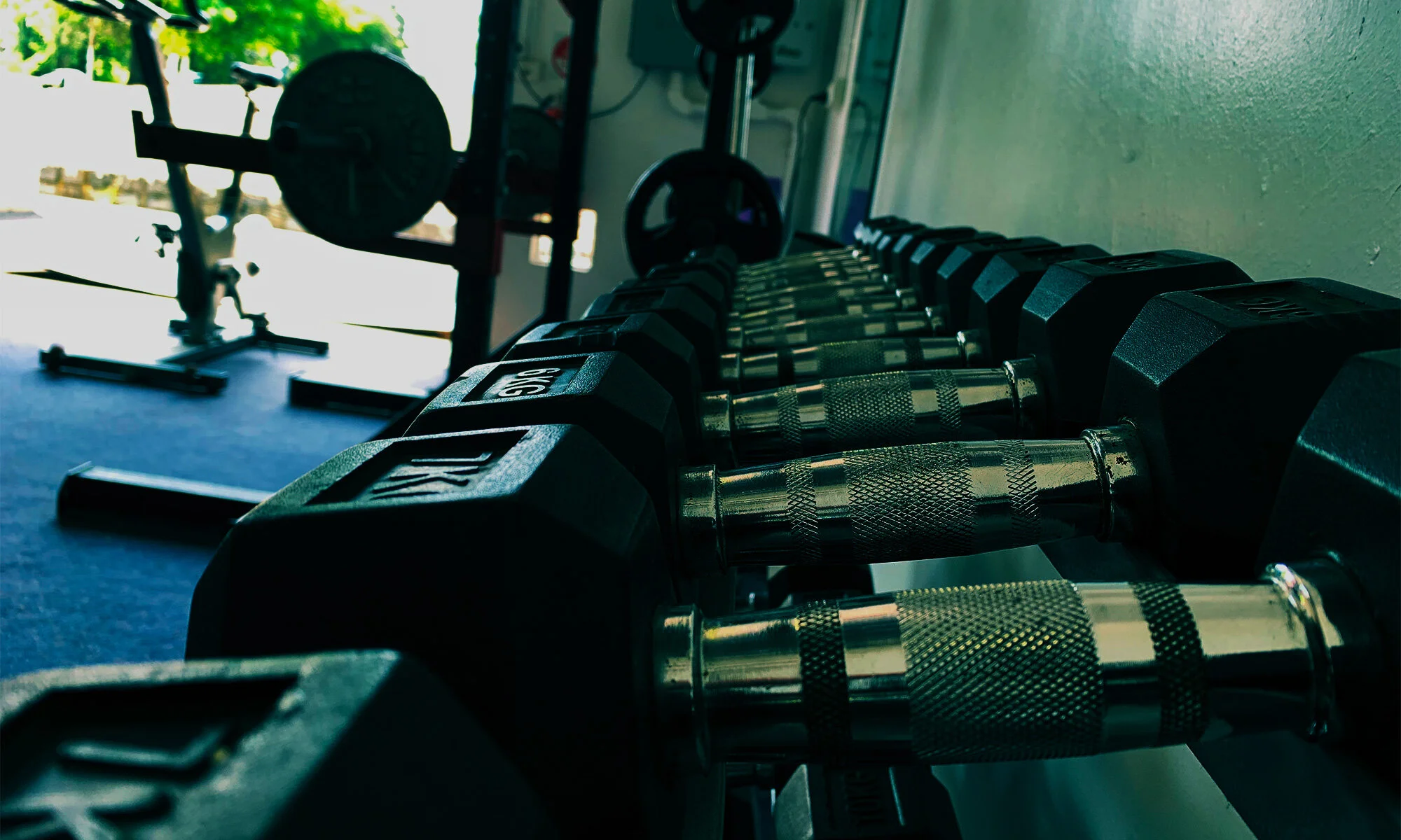 banner-dumbbells.jpg